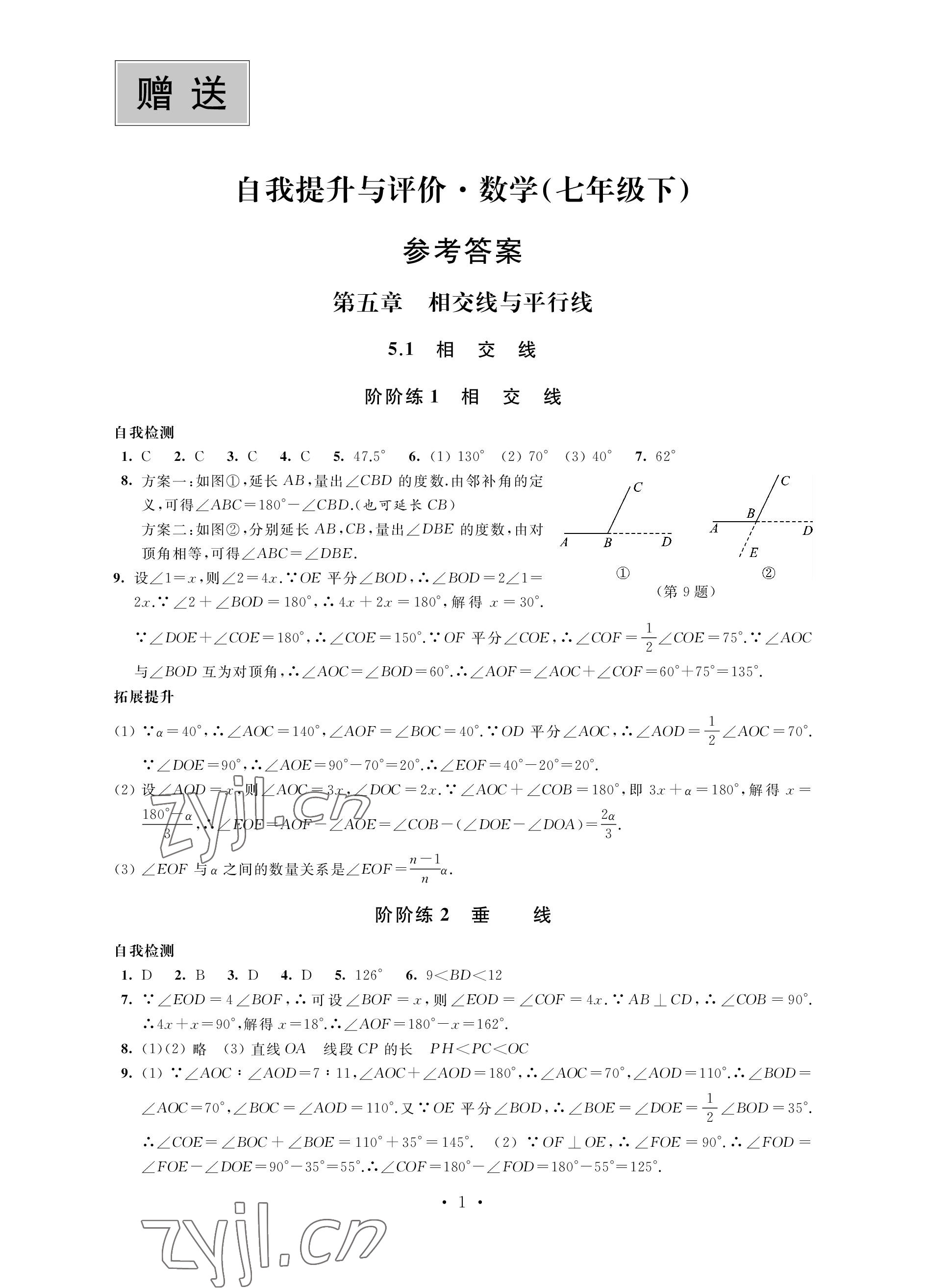 2023年自我提升與評價七年級數(shù)學下冊人教版 參考答案第1頁