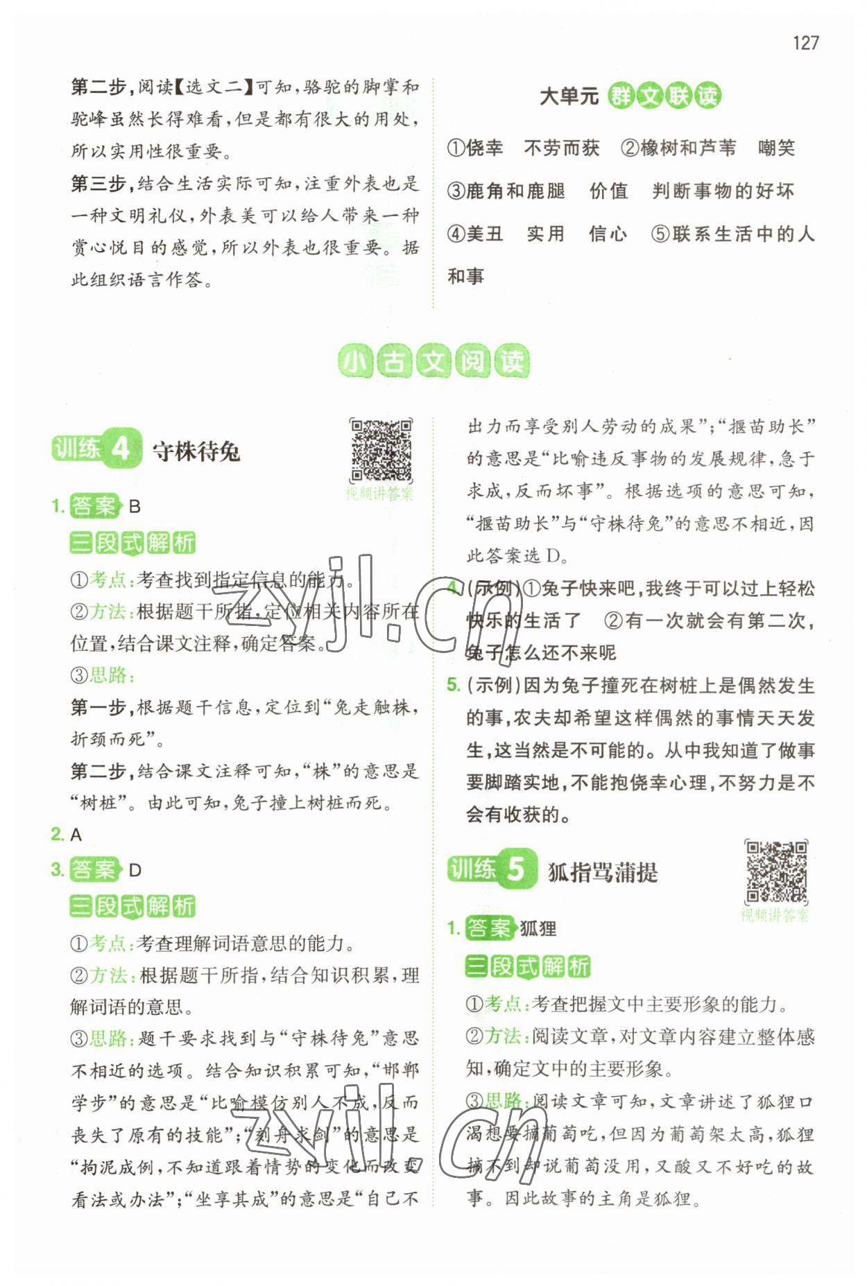 2023年一本閱讀能力訓(xùn)練100分三年級語文人教版浙江專版 參考答案第7頁
