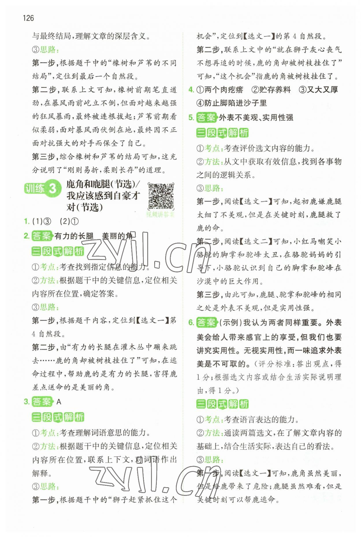 2023年一本閱讀能力訓練100分三年級語文人教版浙江專版 參考答案第6頁