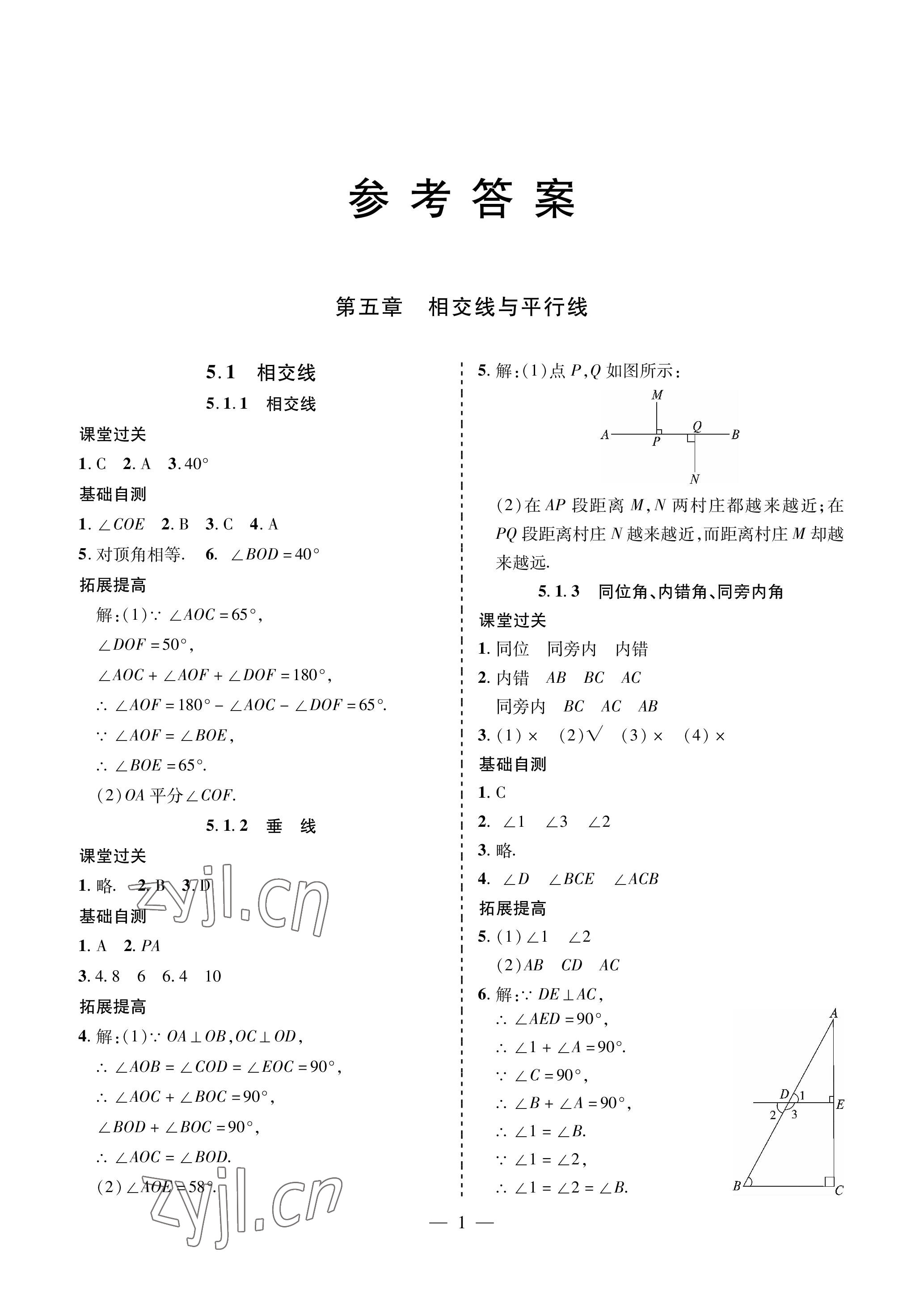 2023年新课堂同步学习与探究七年级数学下册人教版金乡专版 参考答案第1页