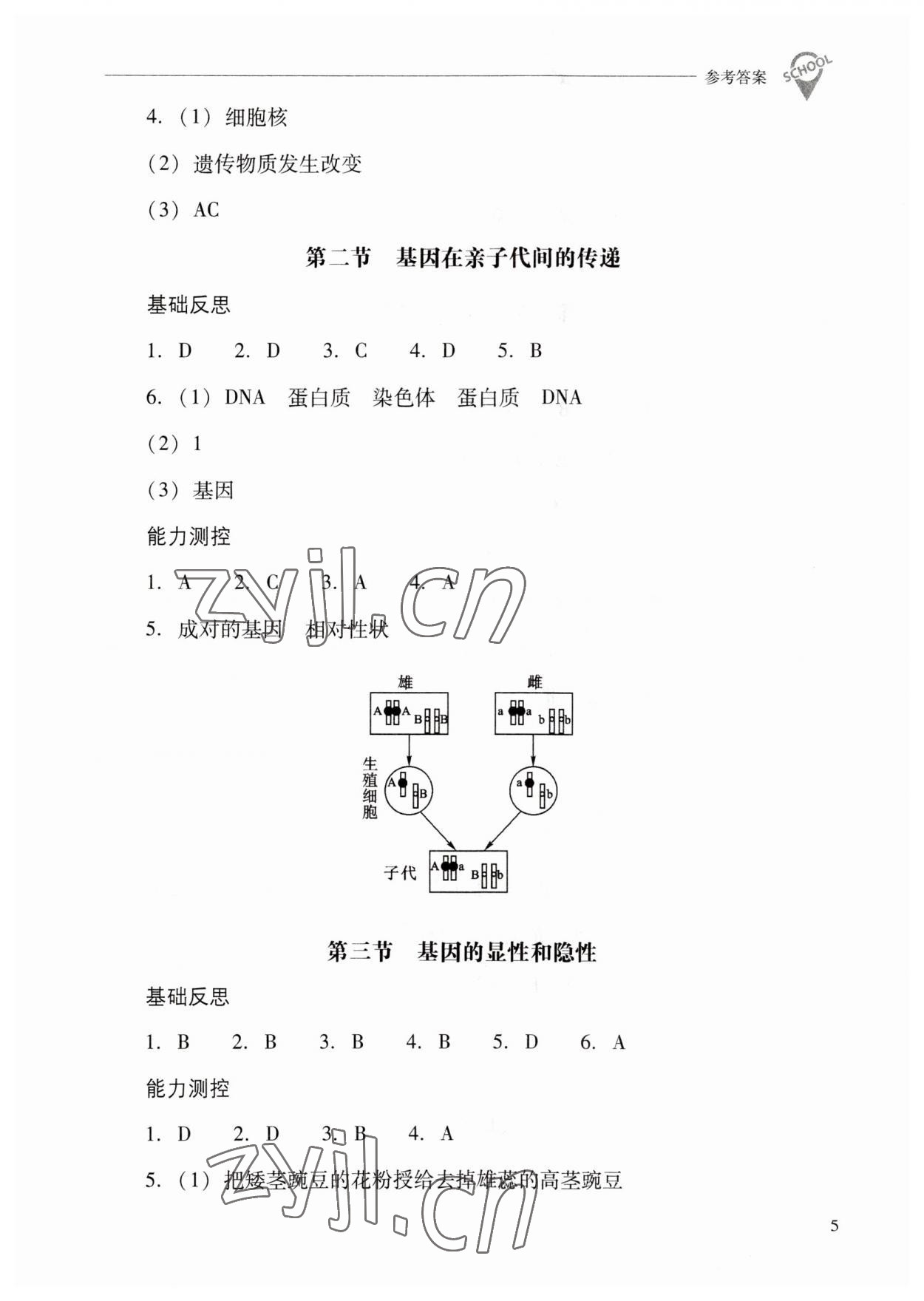 2023年新課程問題解決導(dǎo)學(xué)方案八年級生物下冊人教版 參考答案第5頁