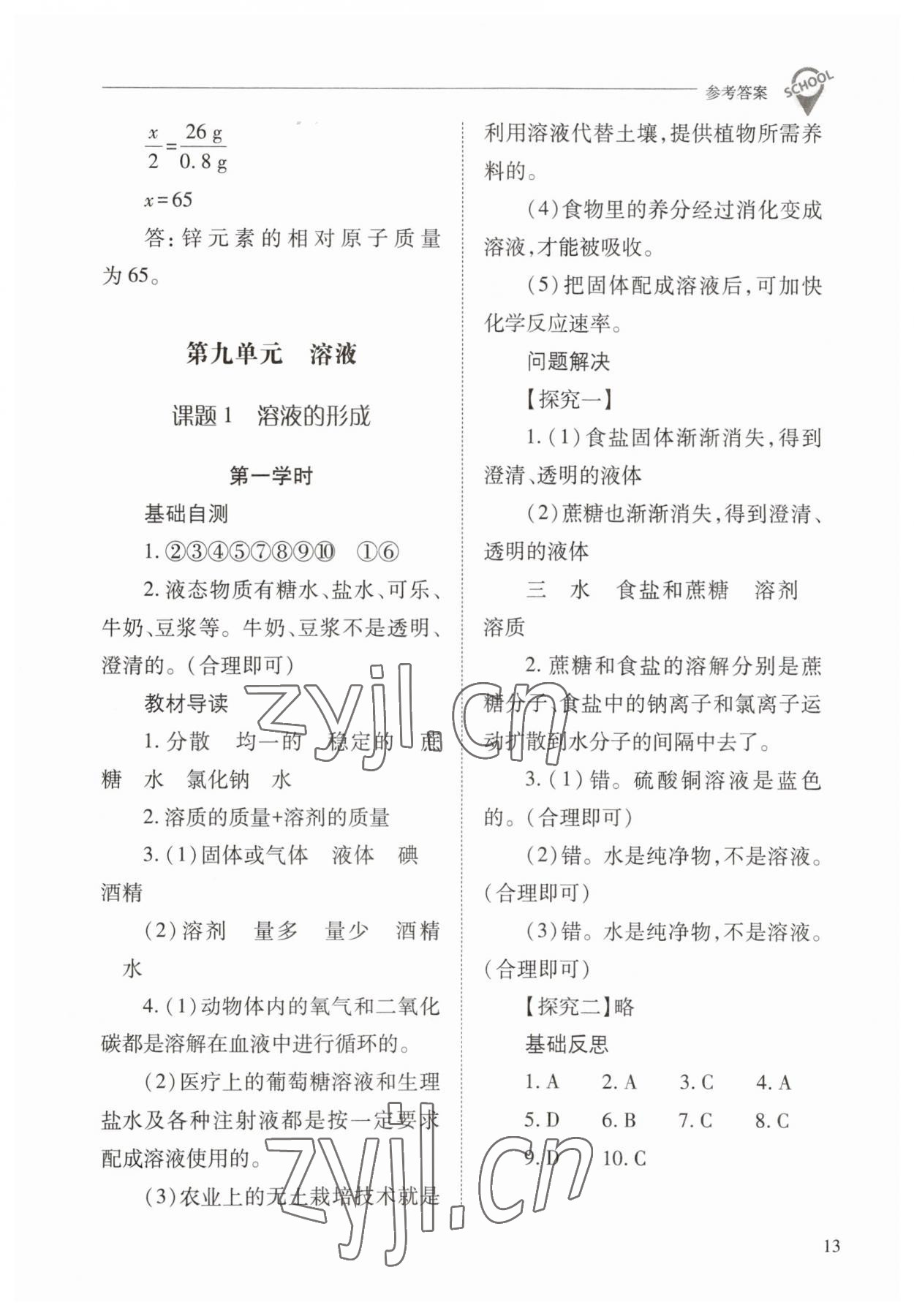 2023年新课程问题解决导学方案九年级化学下册人教版 参考答案第13页