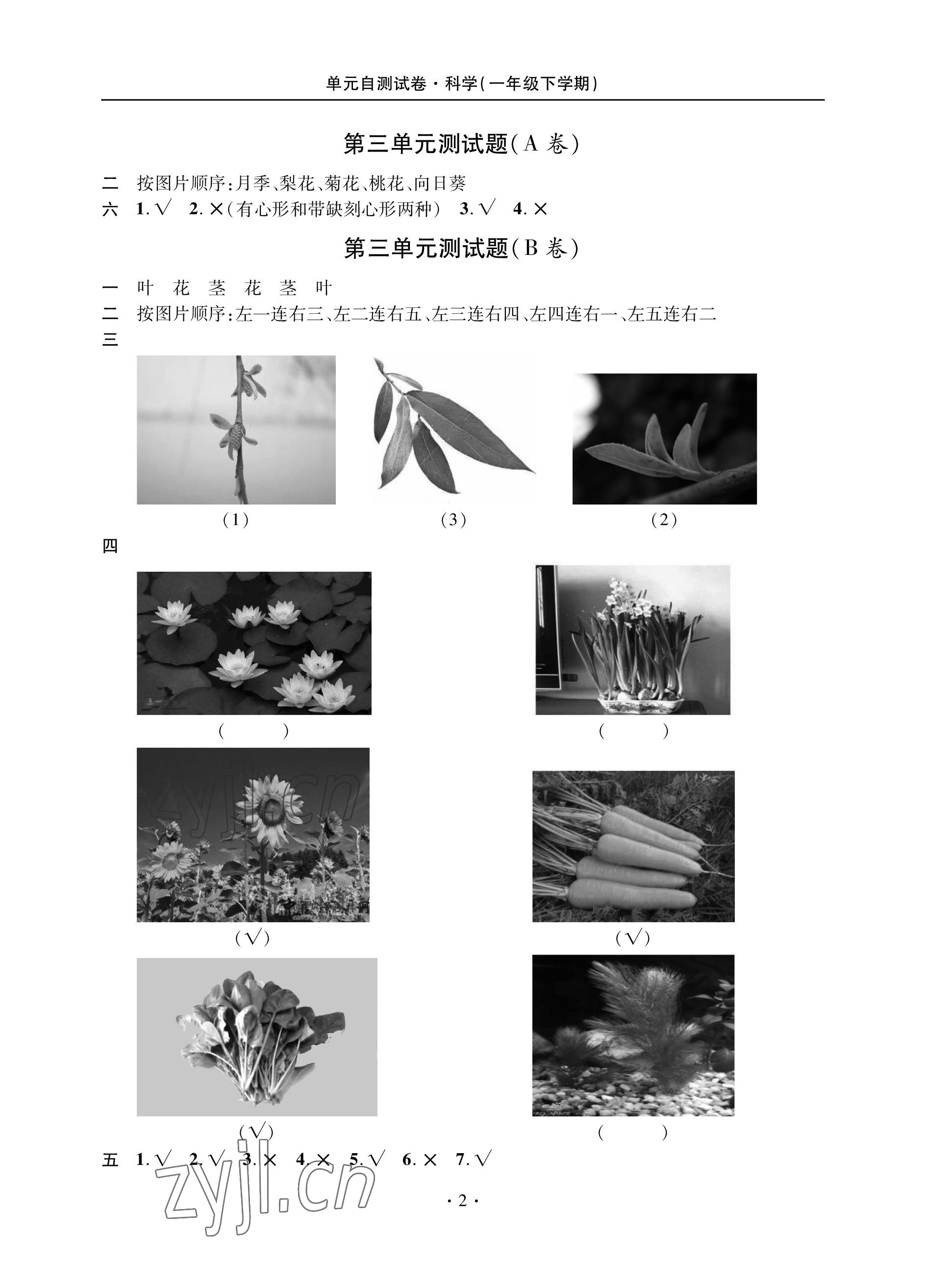 2023年單元自測試卷青島出版社一年級科學(xué)下學(xué)期青島版 參考答案第2頁