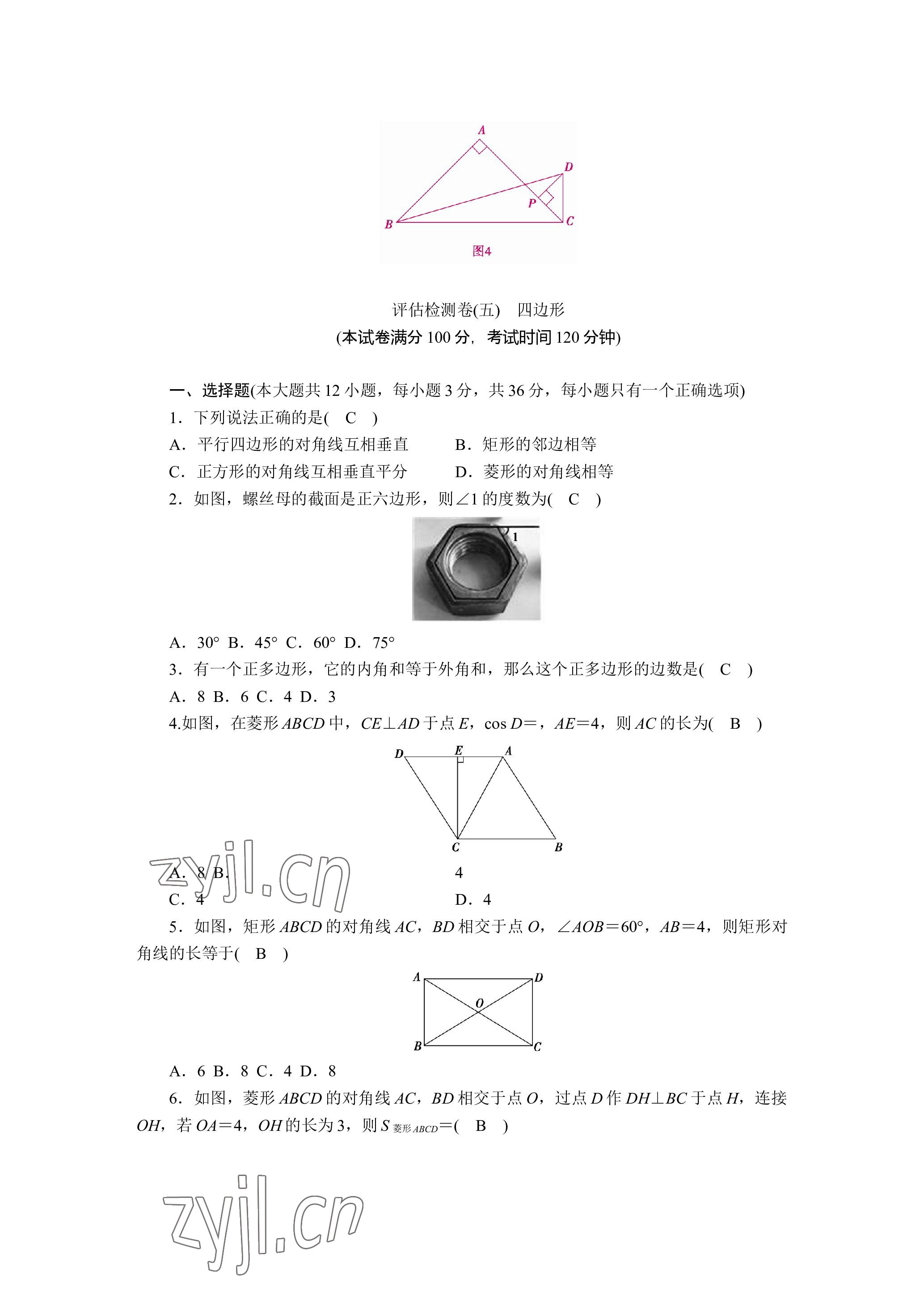 2023年晨光全优同步指导训练与检测数学 参考答案第21页