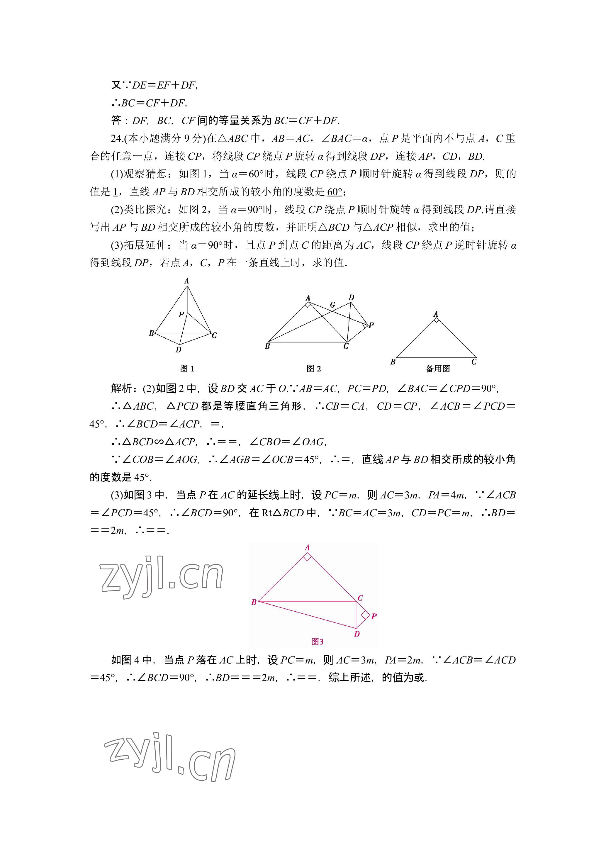 2023年晨光全优同步指导训练与检测数学 参考答案第20页