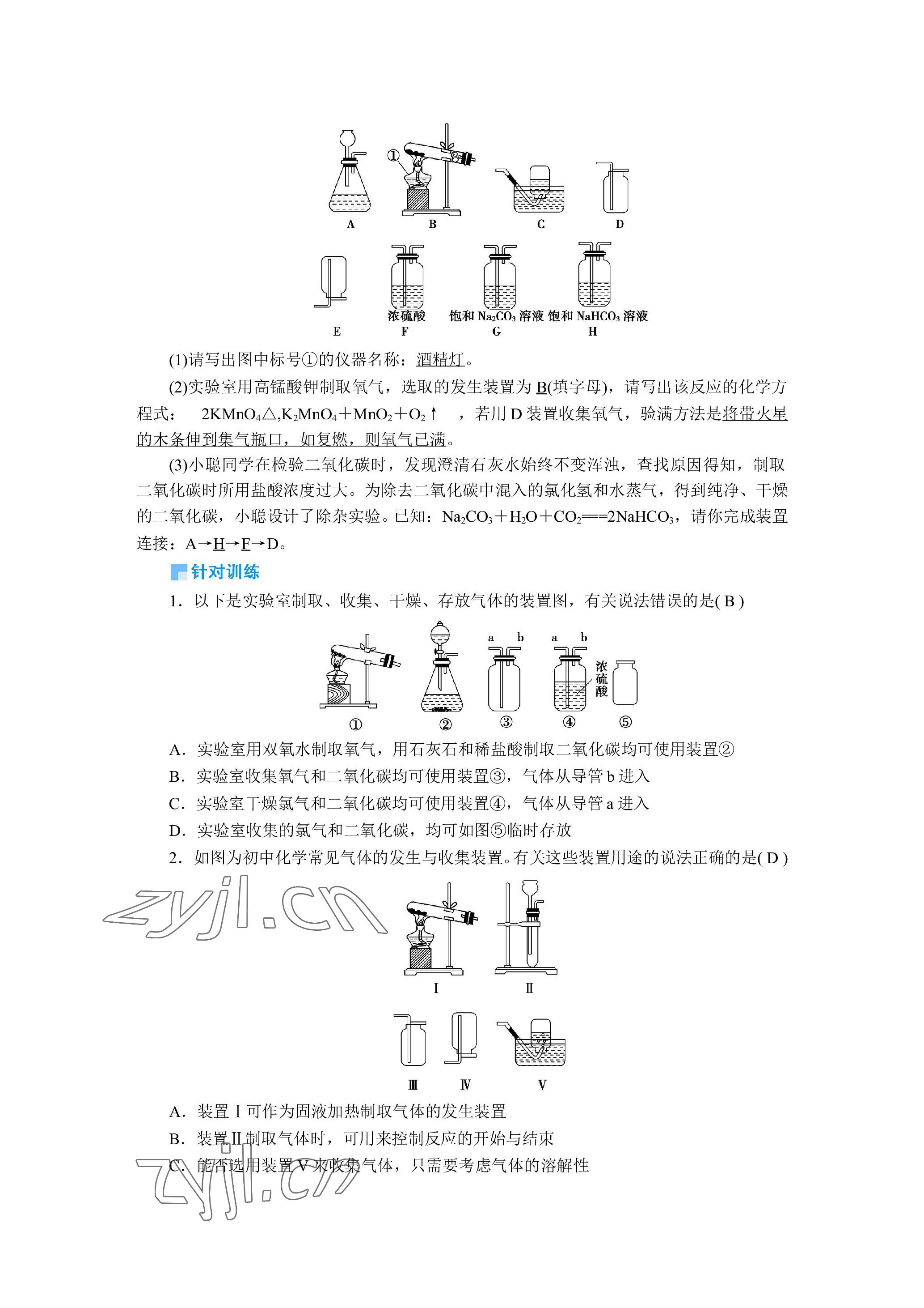 2023年晨光全优同步指导训练与检测化学 参考答案第28页