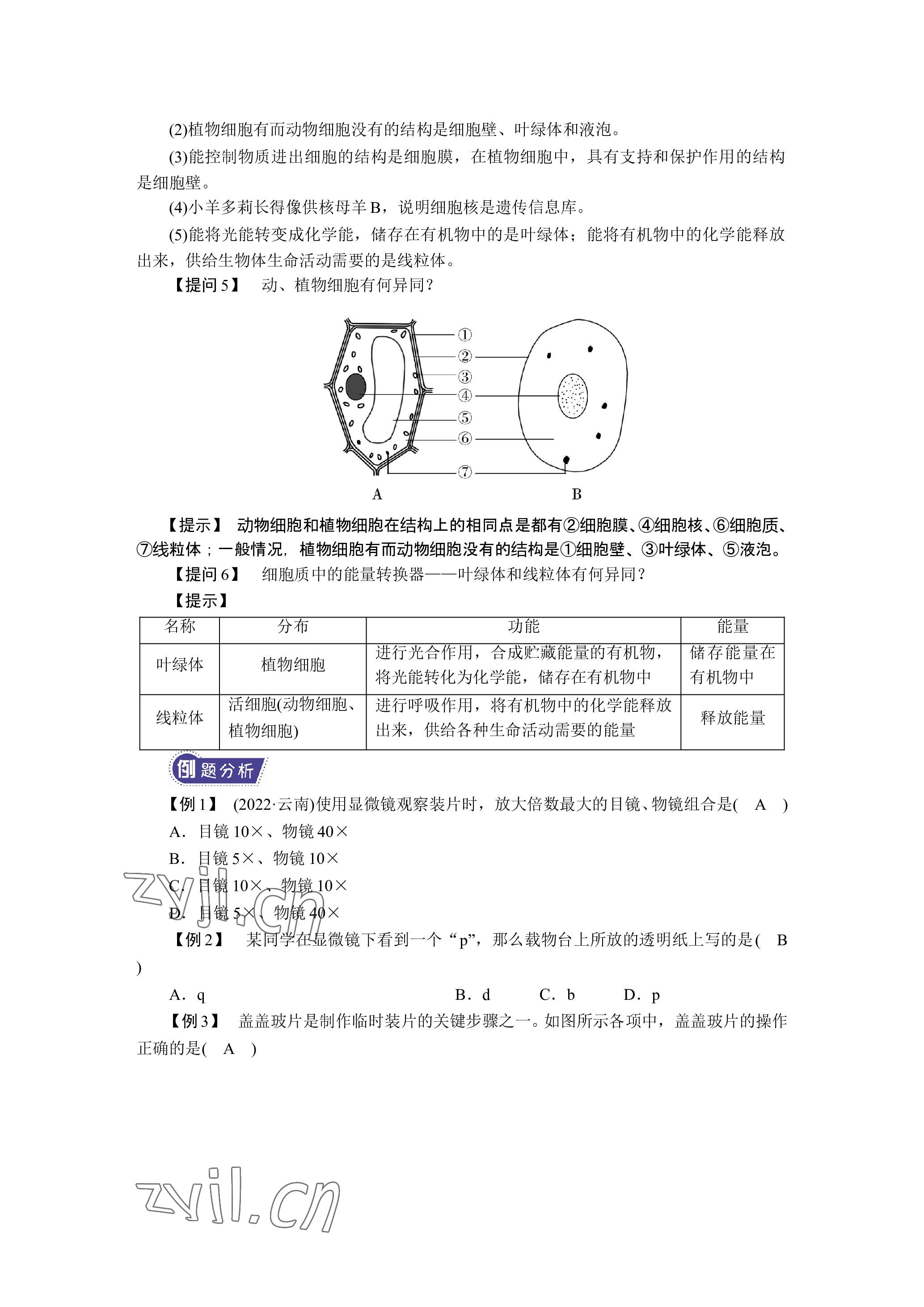 2023年晨光全优同步指导训练与检测生物 参考答案第3页