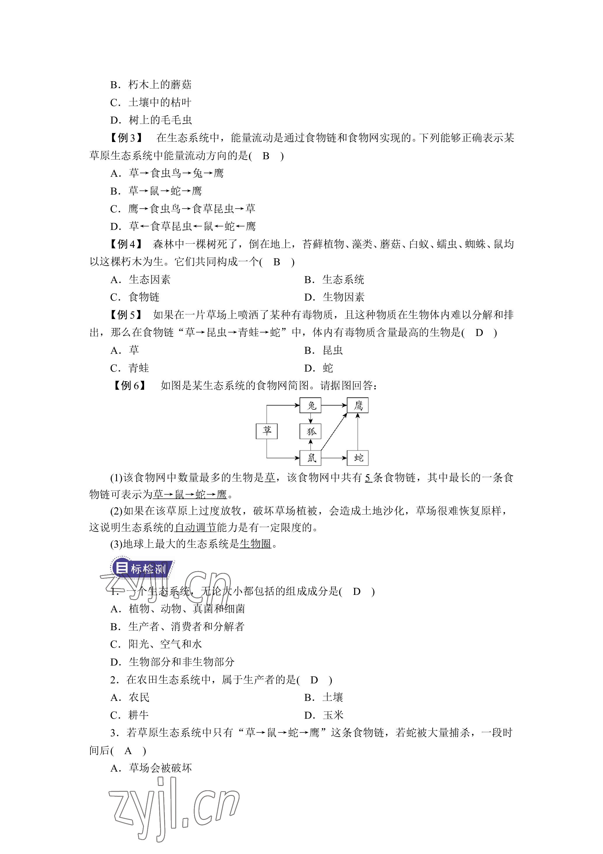 2023年晨光全优同步指导训练与检测生物 参考答案第36页