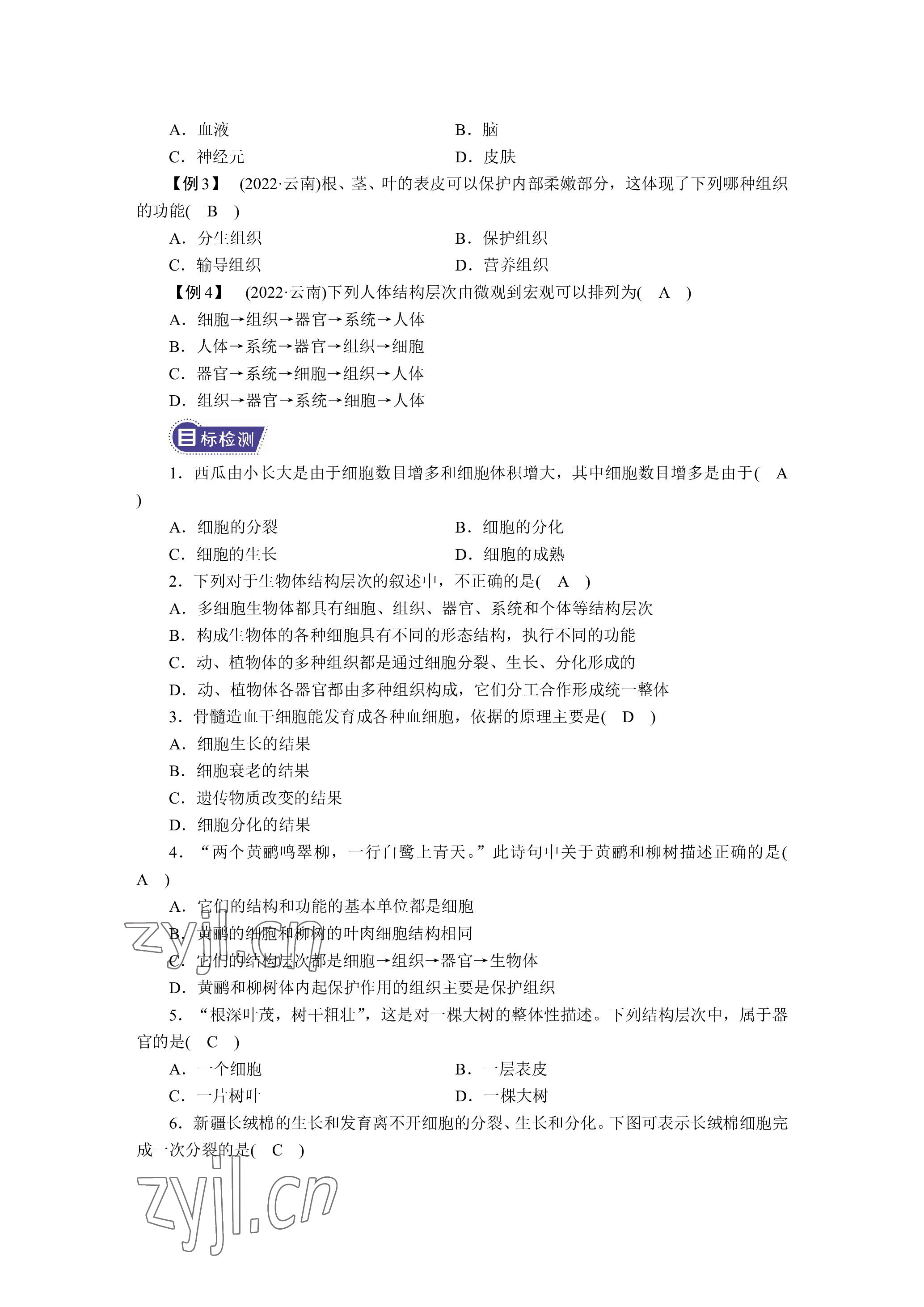 2023年晨光全优同步指导训练与检测生物 参考答案第9页