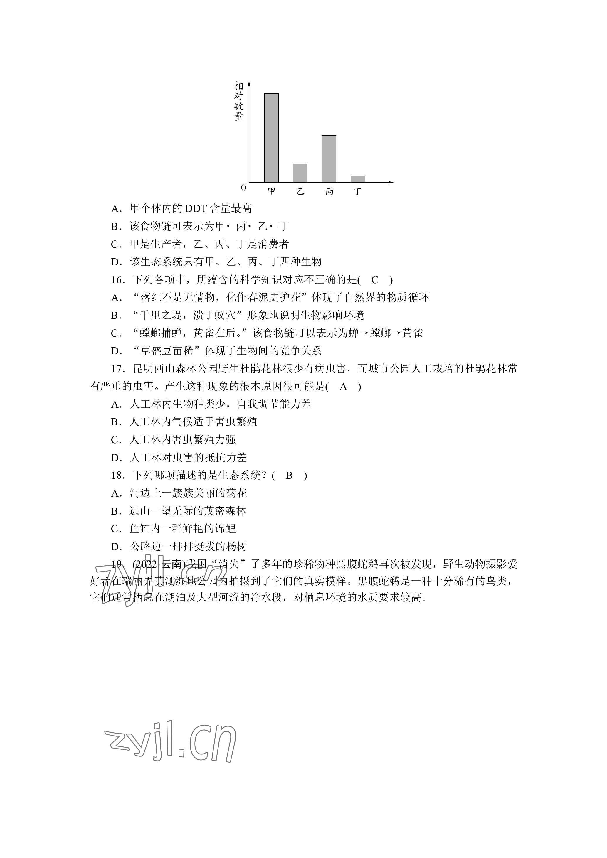 2023年晨光全優(yōu)同步指導(dǎo)訓(xùn)練與檢測(cè)生物 參考答案第39頁