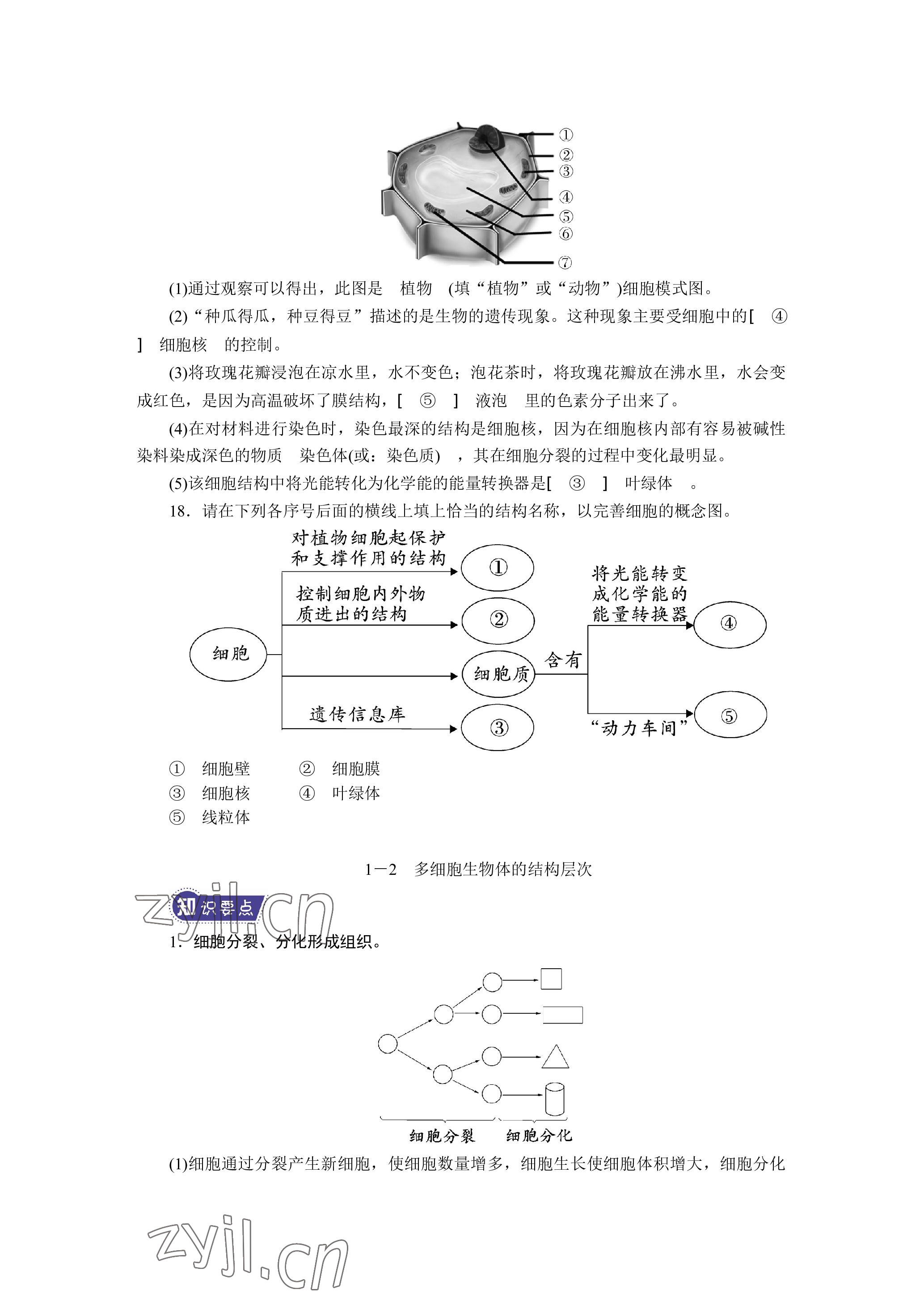 2023年晨光全优同步指导训练与检测生物 参考答案第7页