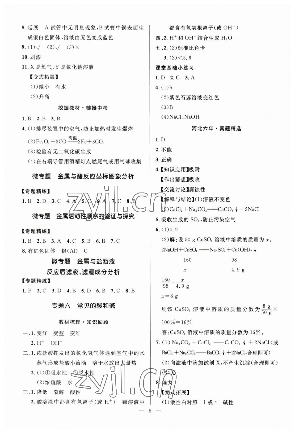 2023年夺冠百分百中考冲刺化学河北专版 第5页