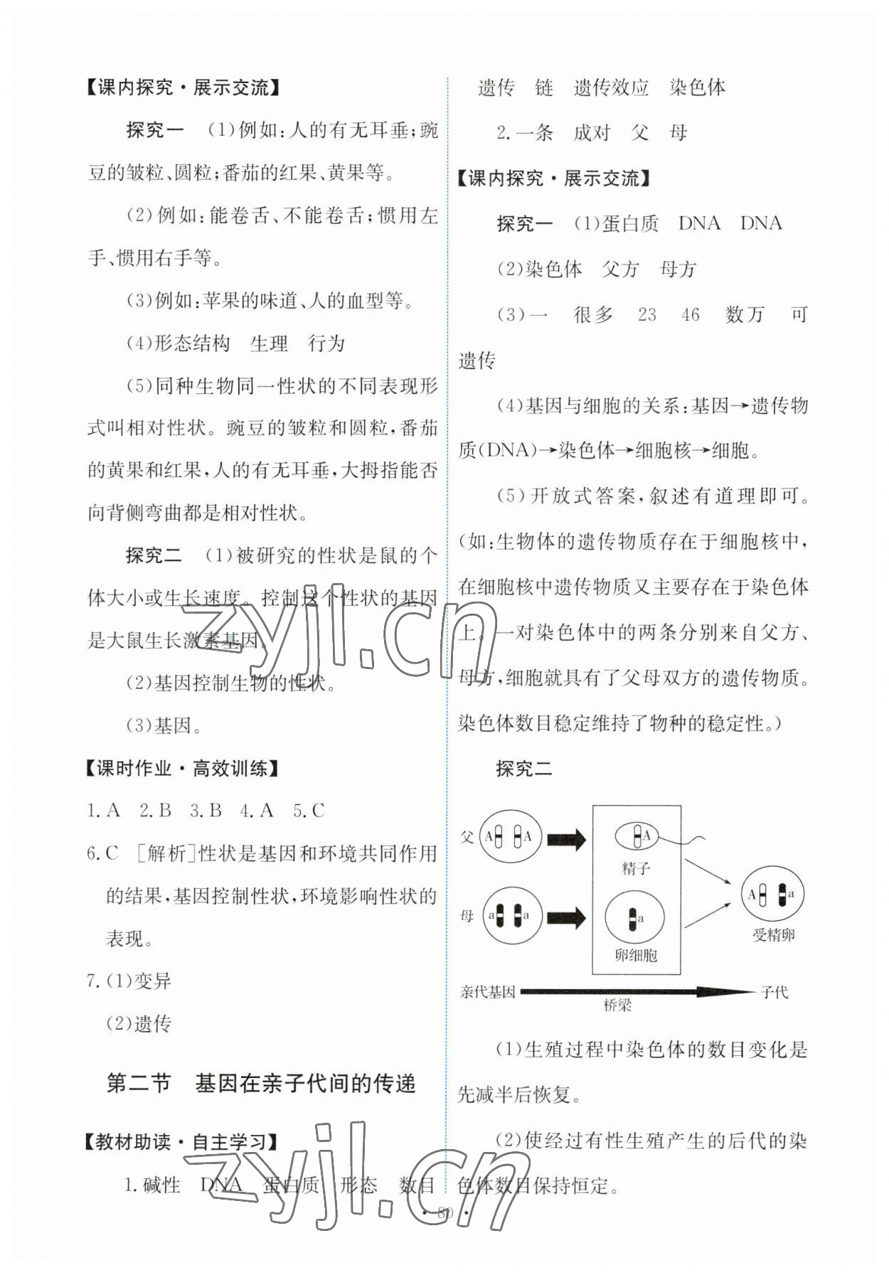 2023年能力培養(yǎng)與測試八年級生物下冊人教版 第6頁