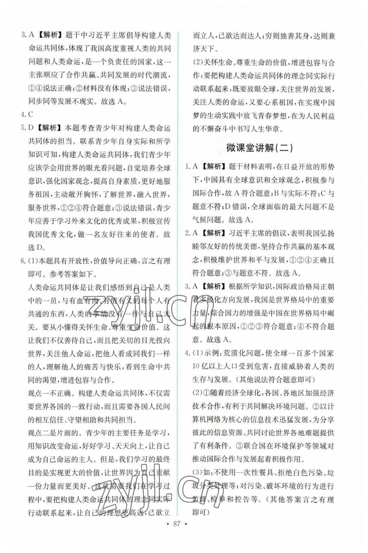 2023年能力培養(yǎng)與測試九年級道德與法治下冊人教版 第5頁