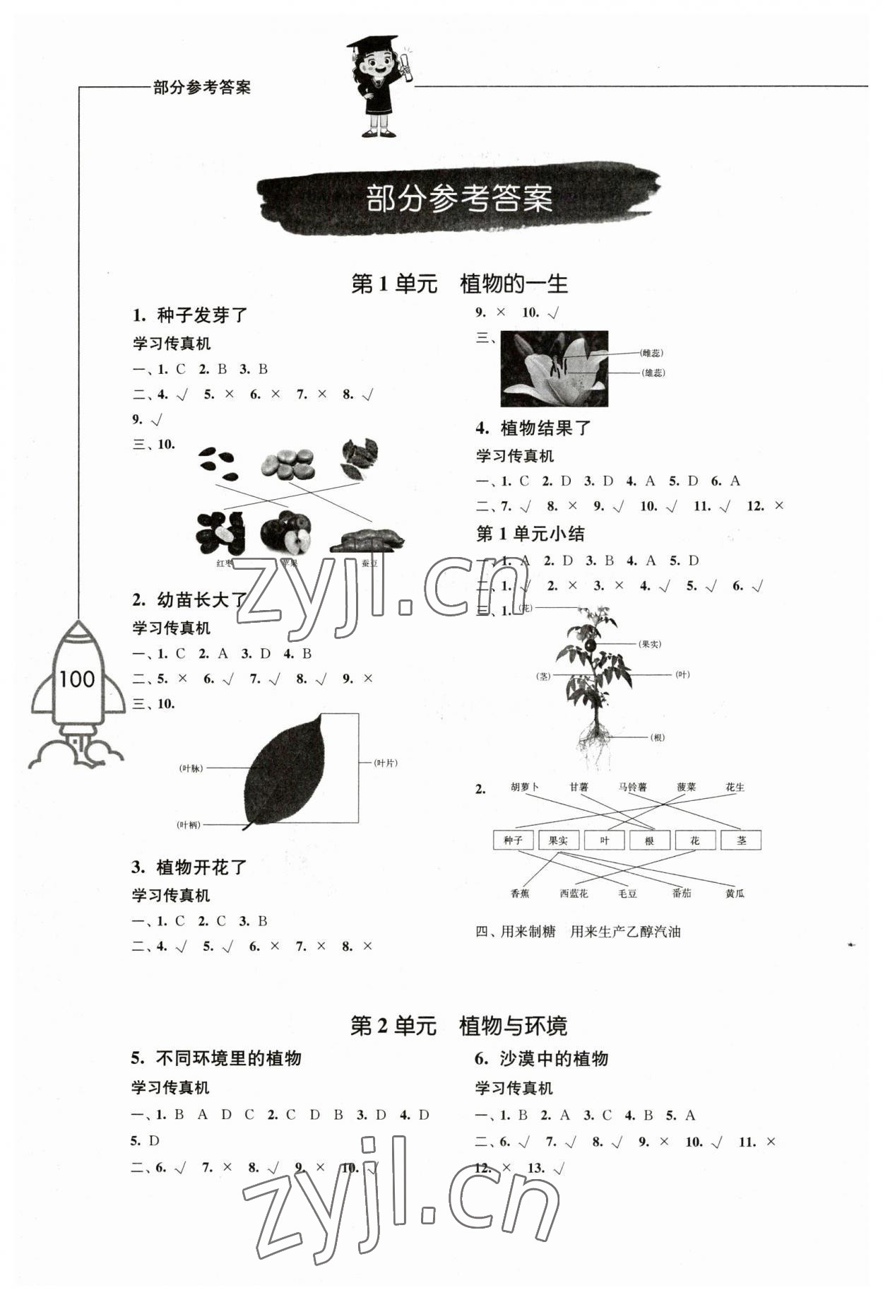 2023年小學科學習作三年級科學下冊蘇教版 參考答案第1頁