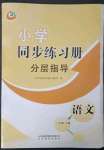 2023年同步練習(xí)冊分層指導(dǎo)三年級語文下冊人教版五四制