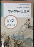 2023年人教金學(xué)典同步解析與測(cè)評(píng)七年級(jí)語(yǔ)文下冊(cè)人教版