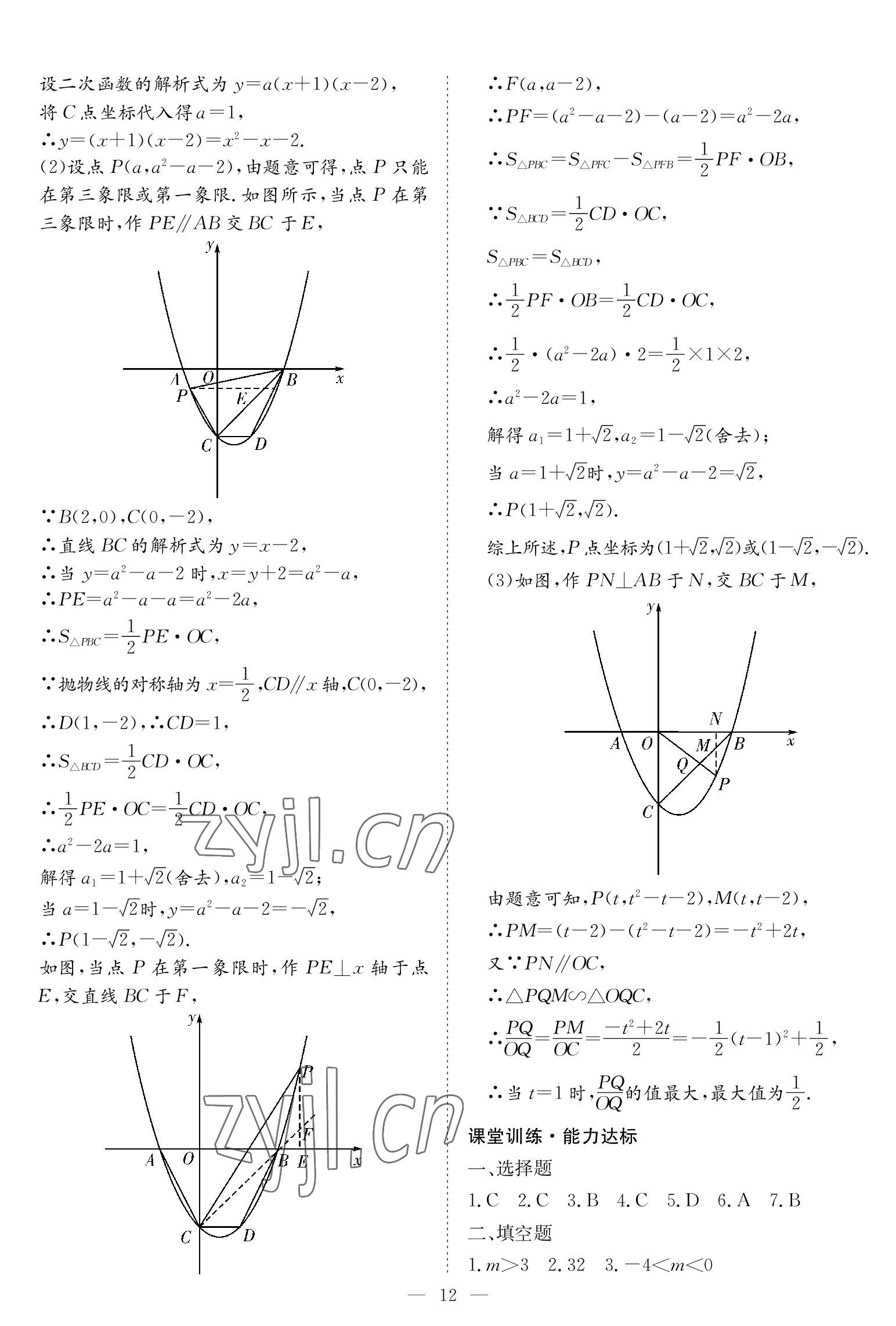 2023年中考復習指南長江少年兒童出版社數(shù)學黃石專版 參考答案第12頁