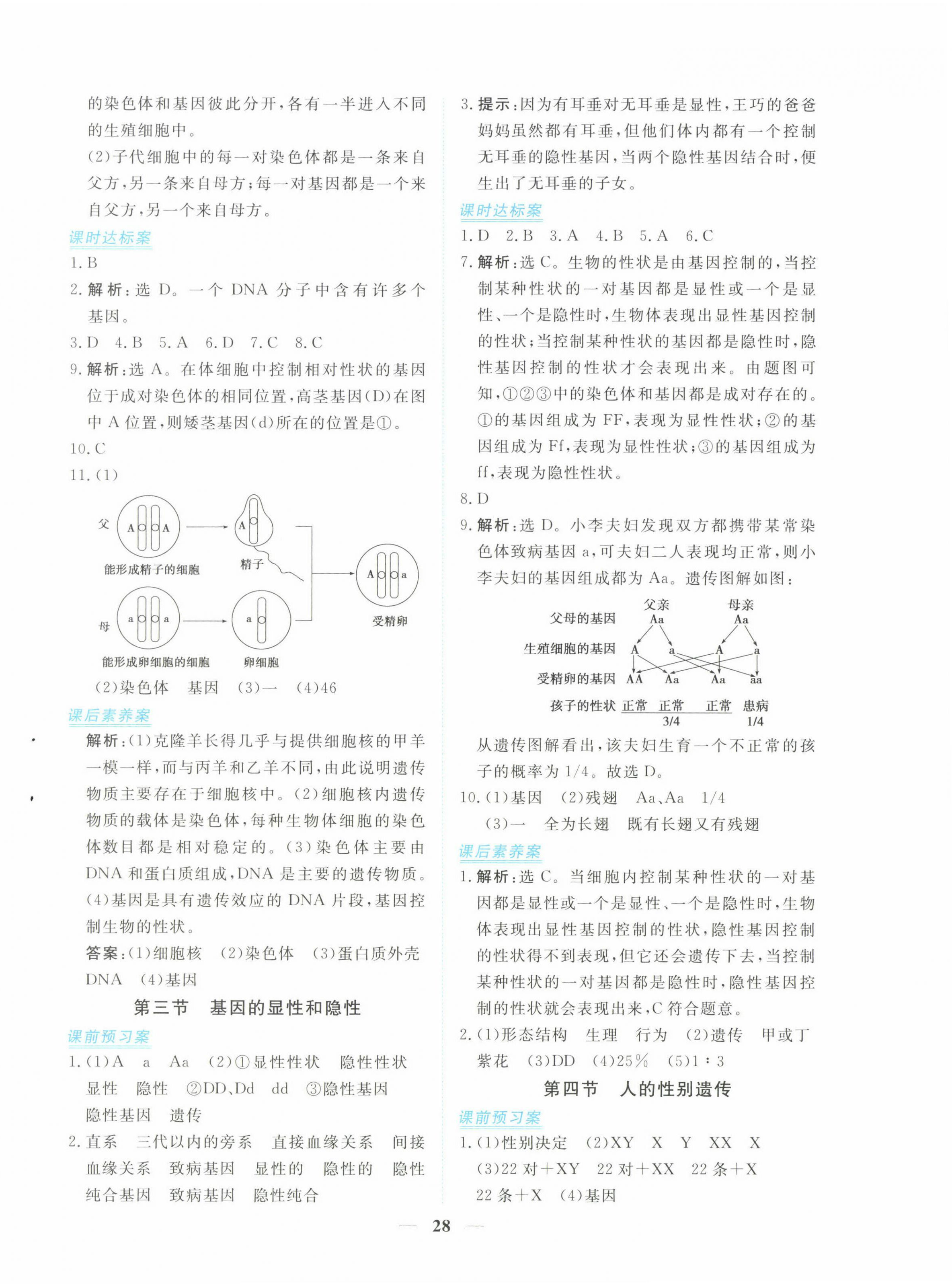 2023年新坐标同步练习八年级生物下册人教版青海专用 第4页