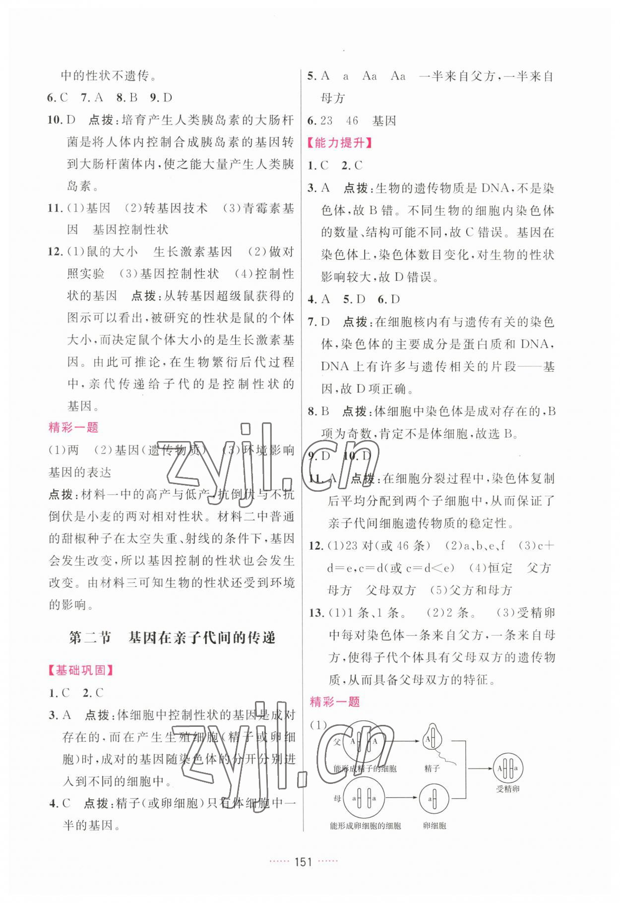 2023年三維數(shù)字課堂八年級生物下冊人教版 第7頁