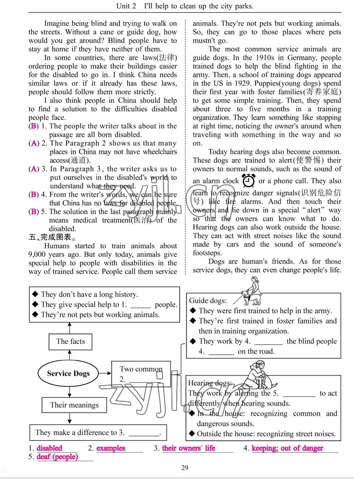 2023年考拉起飛八年級(jí)英語(yǔ)下冊(cè)人教版 參考答案第57頁(yè)