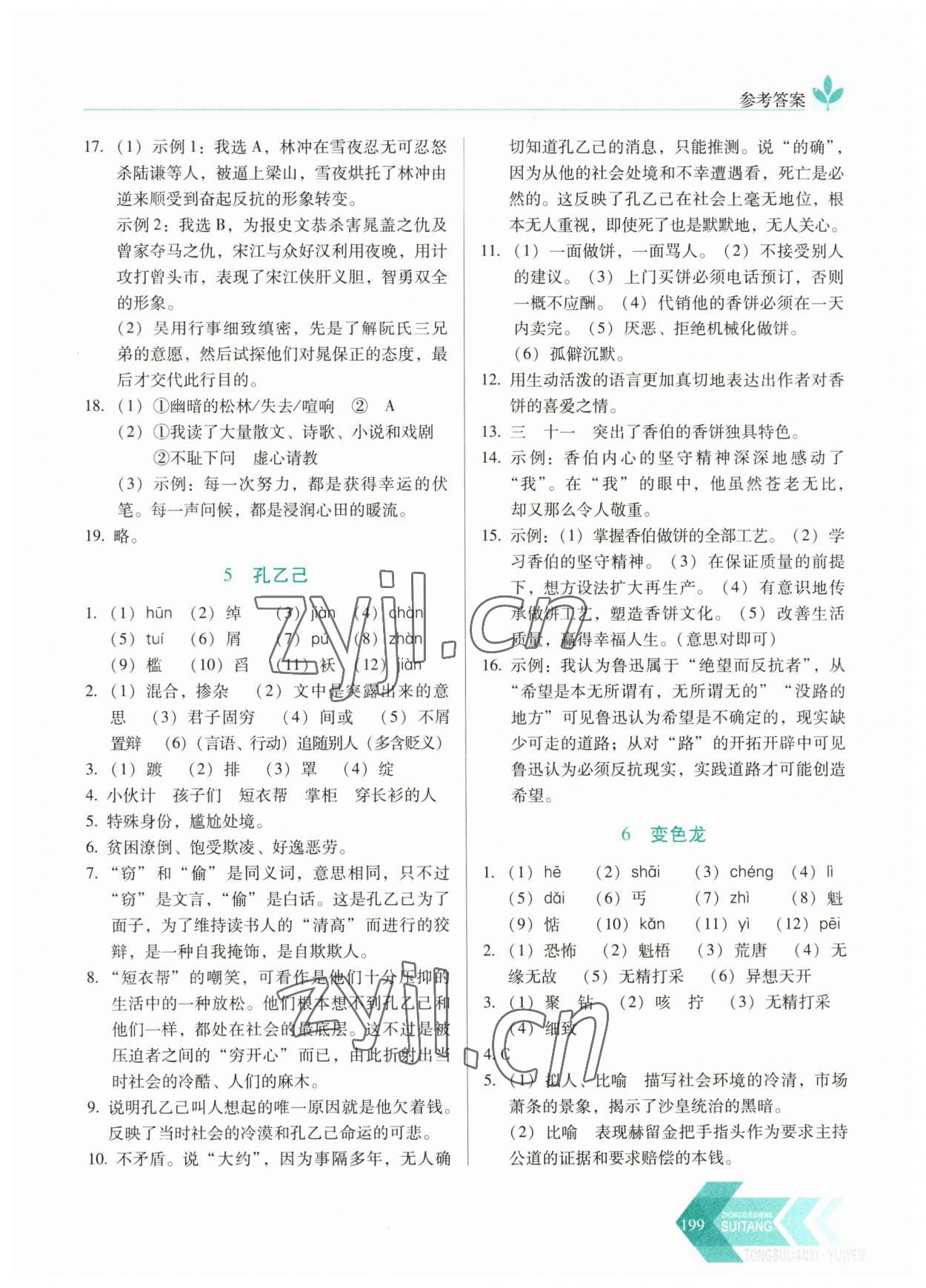 2023年随堂同步练习九年级语文下册人教版 参考答案第4页