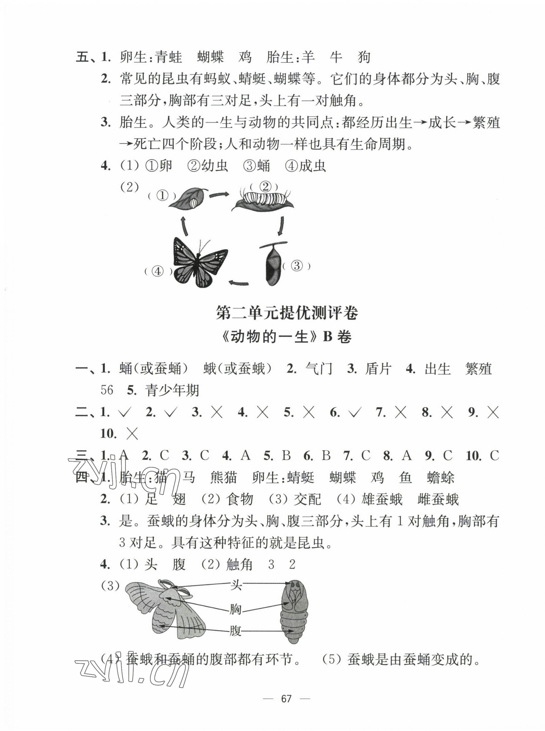 2023年江蘇好卷三年級(jí)科學(xué)下冊(cè)教科版 第3頁(yè)