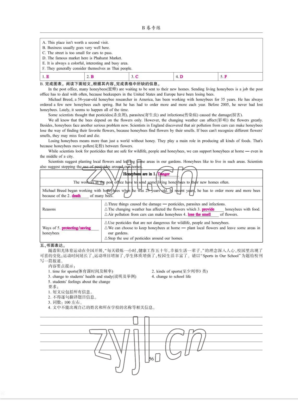 2023年考拉起飛九年級英語全一冊人教版 參考答案第56頁