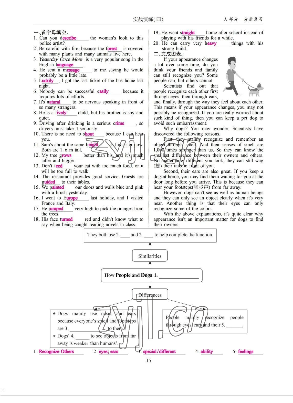 2023年考拉起飛九年級英語全一冊人教版 參考答案第31頁