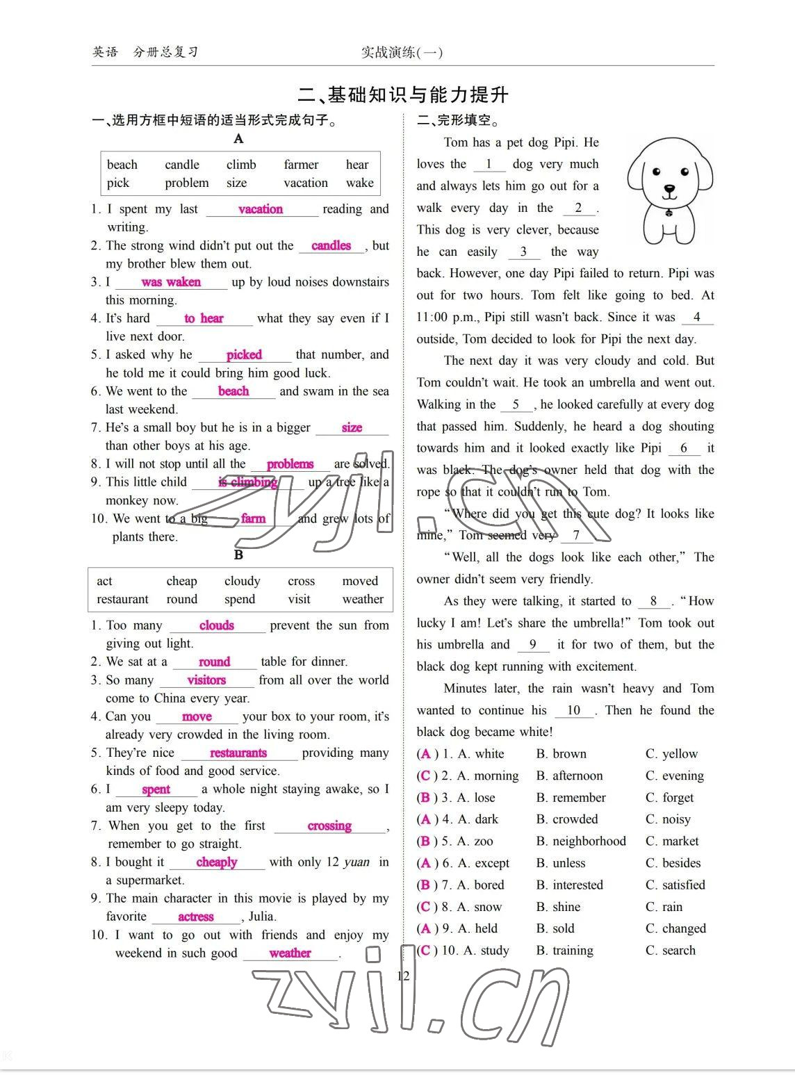 2023年考拉起飛九年級英語全一冊人教版 參考答案第25頁