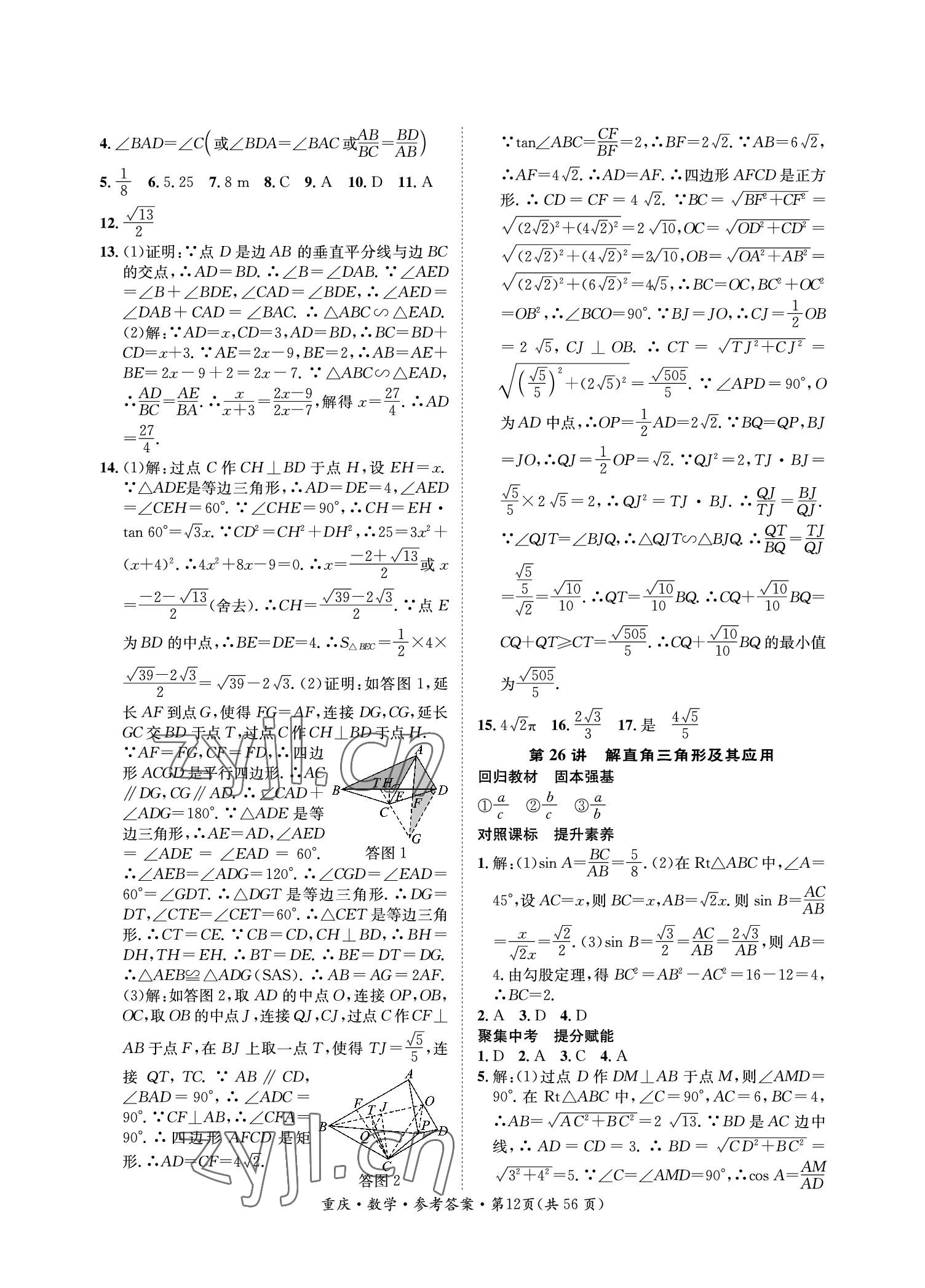 2023年學(xué)本課堂數(shù)學(xué)重慶專版 參考答案第12頁