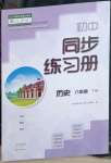 2023年同步練習(xí)冊(cè)大象出版社八年級(jí)歷史下冊(cè)人教版