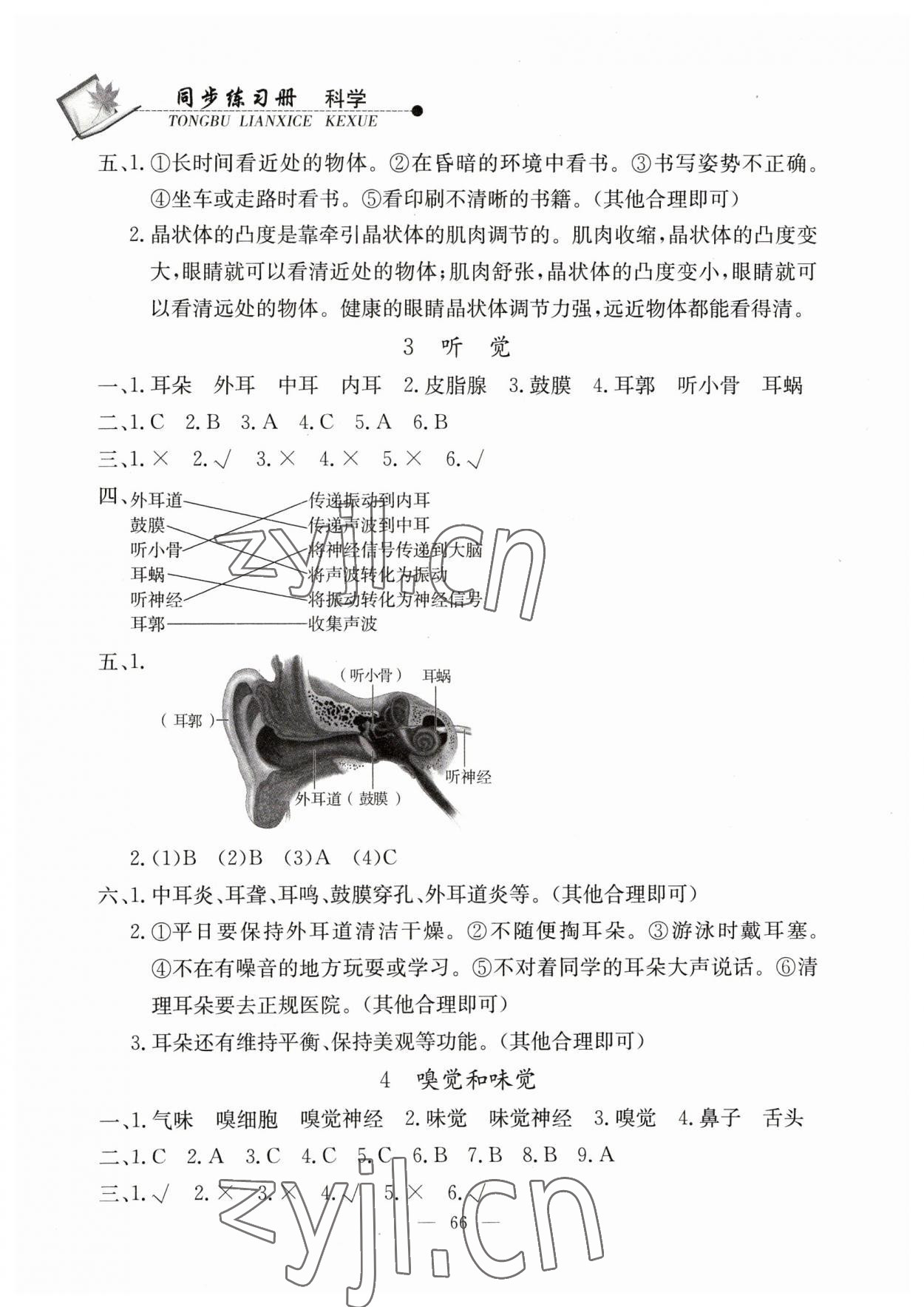 2023年同步練習(xí)冊山東科學(xué)技術(shù)出版社六年級科學(xué)下冊青島版 第2頁