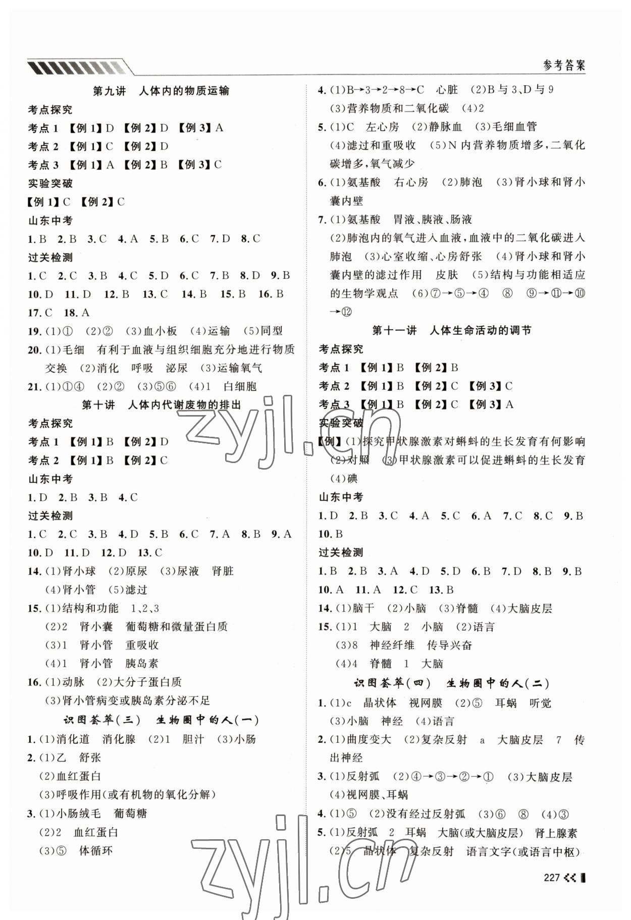 2023年初中總復習手冊山東人民出版社生物濟南版 第3頁