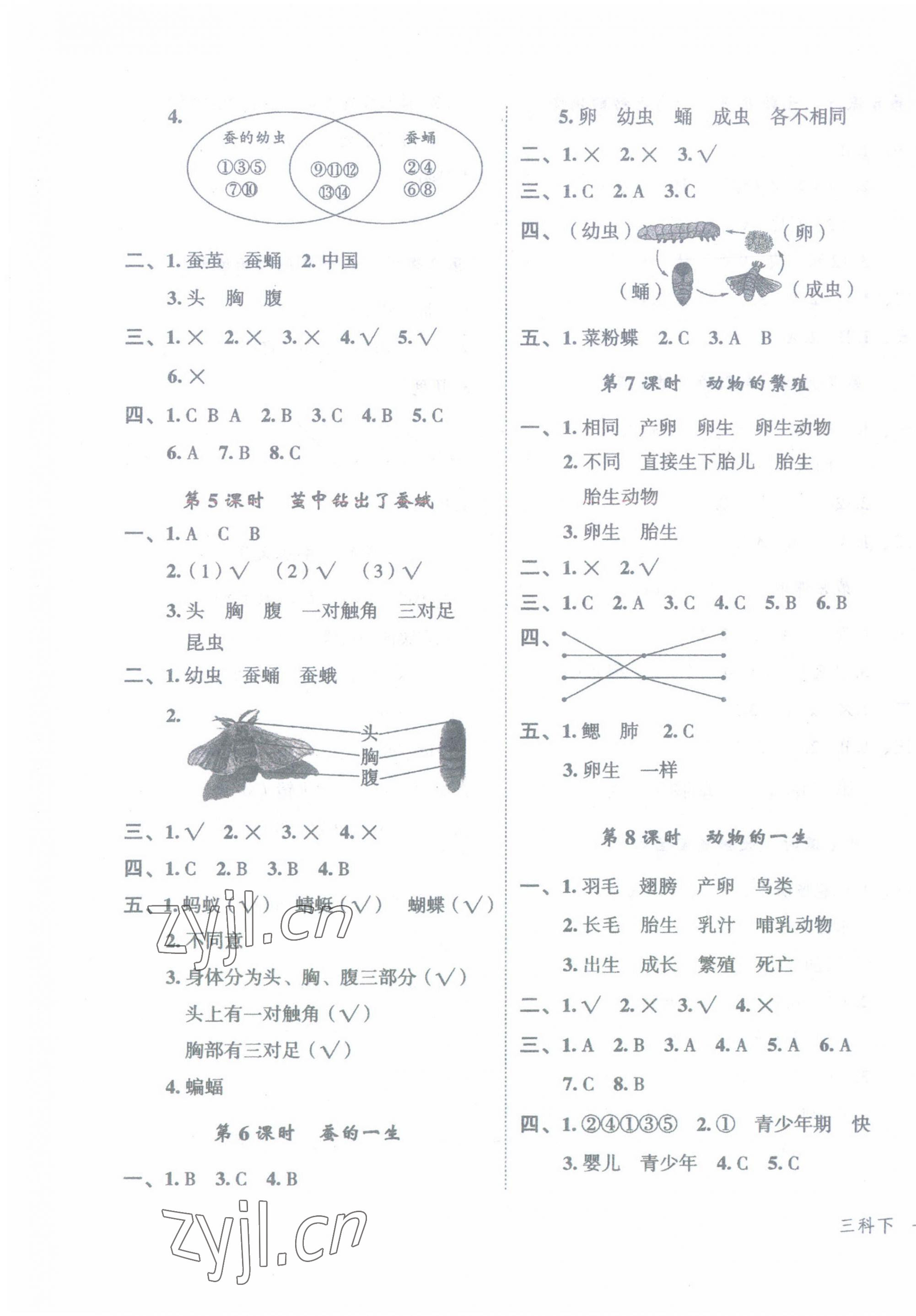 2023年名師面對(duì)面先學(xué)后練三年級(jí)科學(xué)下冊(cè)教科版 參考答案第3頁(yè)