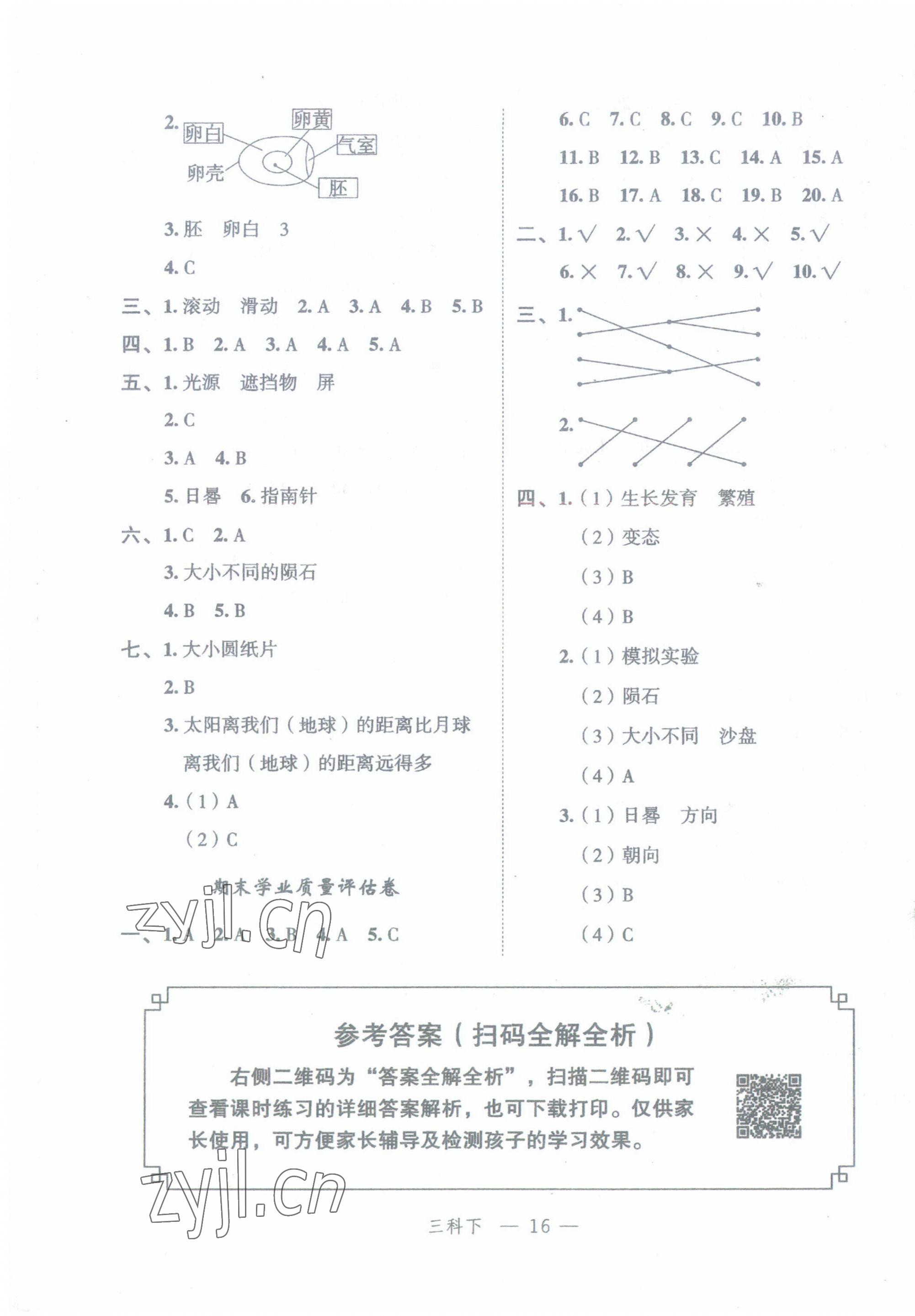 2023年名師面對面先學(xué)后練三年級科學(xué)下冊教科版 參考答案第7頁