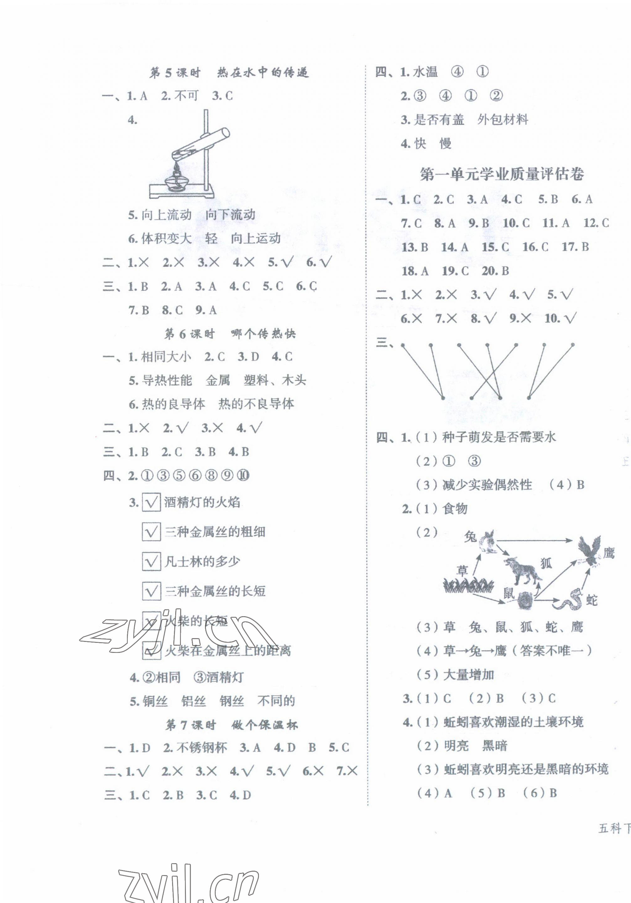 2023年名師面對面先學(xué)后練五年級科學(xué)下冊教科版 參考答案第5頁