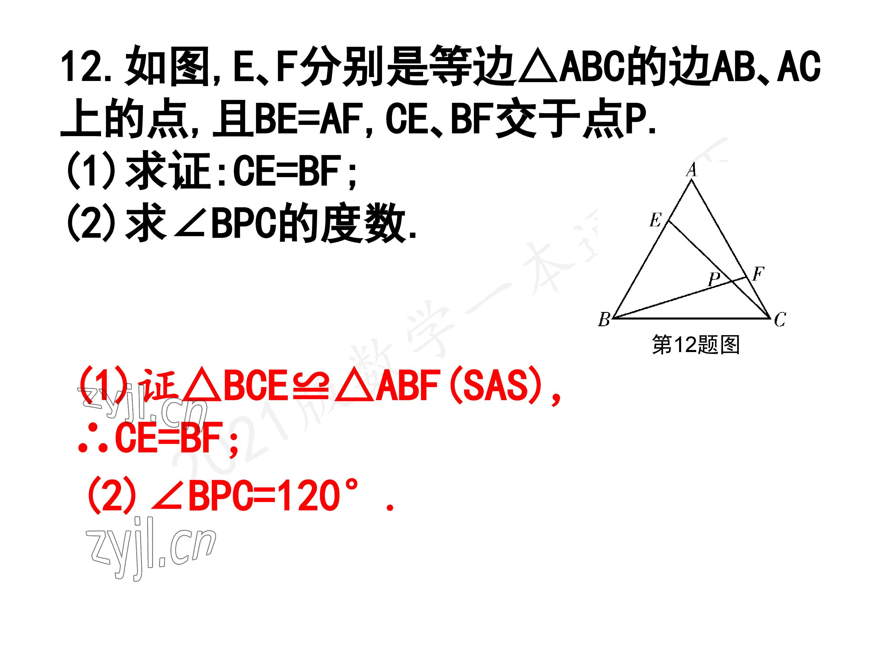 2023年一本通武汉出版社八年级数学下册北师大版 参考答案第27页