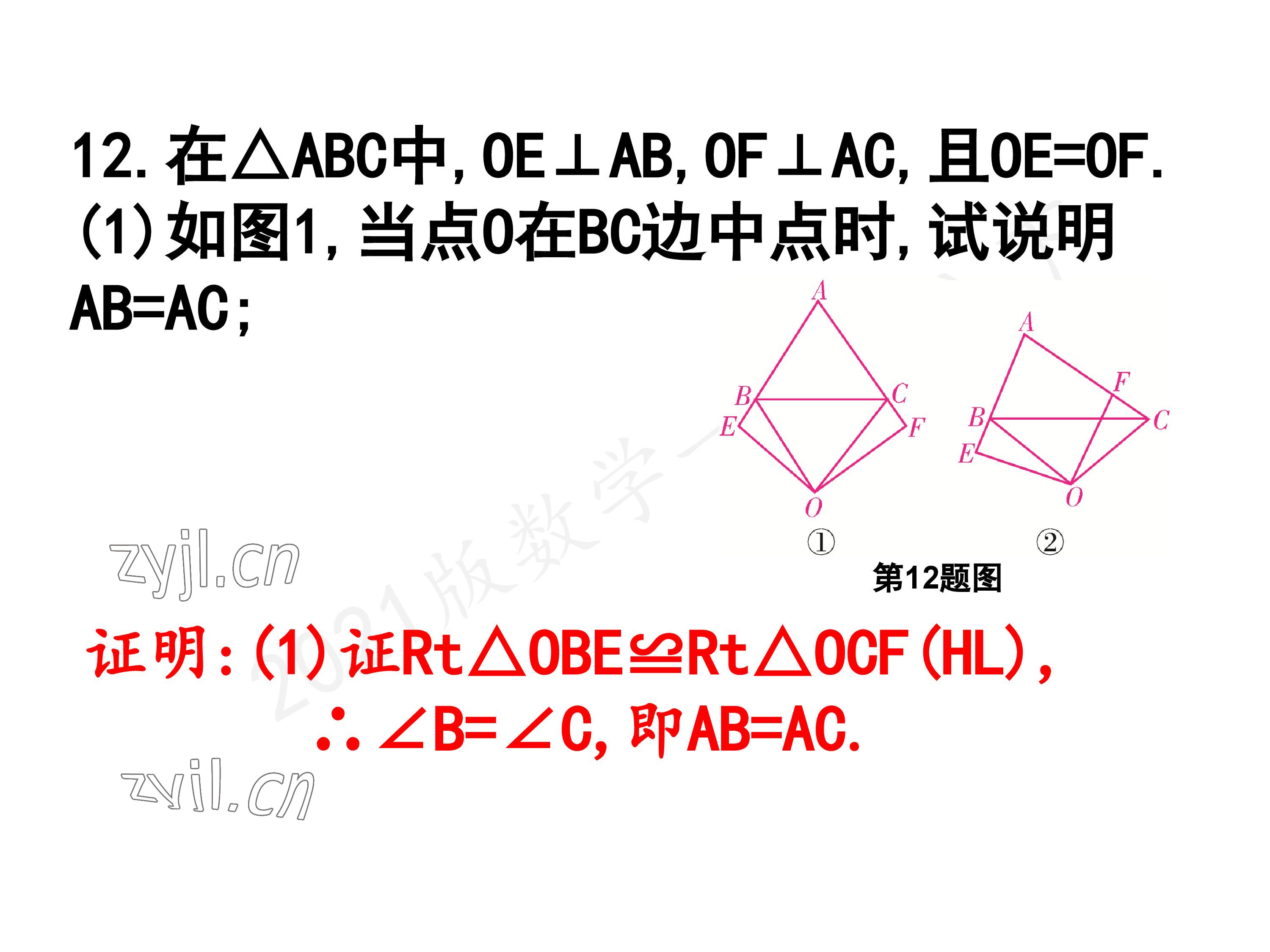 2023年一本通武汉出版社八年级数学下册北师大版 参考答案第119页