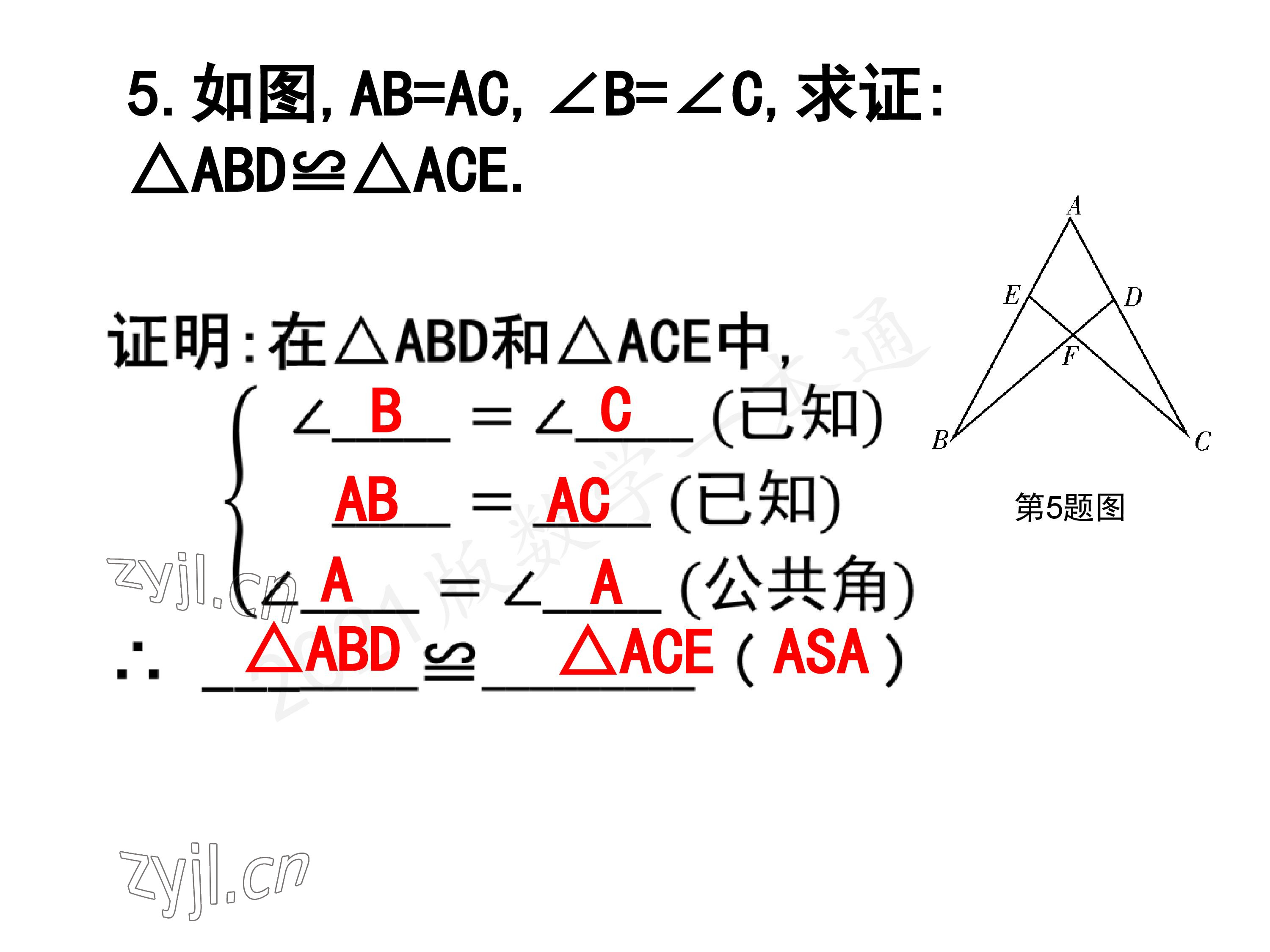 2023年一本通武汉出版社八年级数学下册北师大版 参考答案第11页