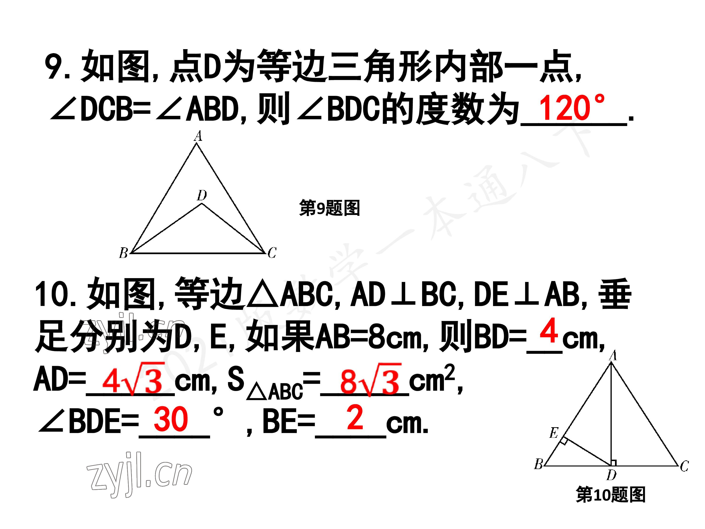 2023年一本通武汉出版社八年级数学下册北师大版 参考答案第82页