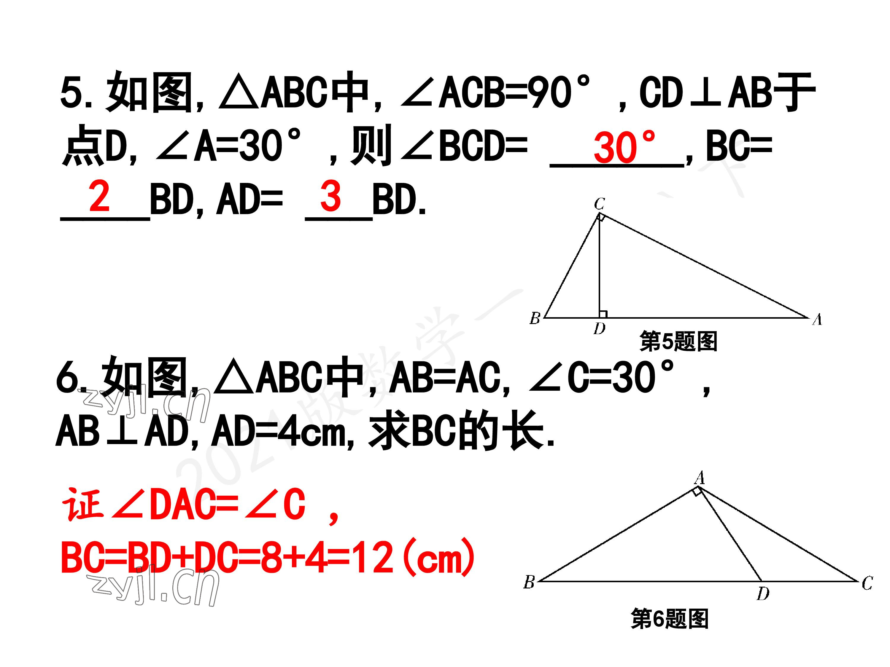 2023年一本通武汉出版社八年级数学下册北师大版 参考答案第89页