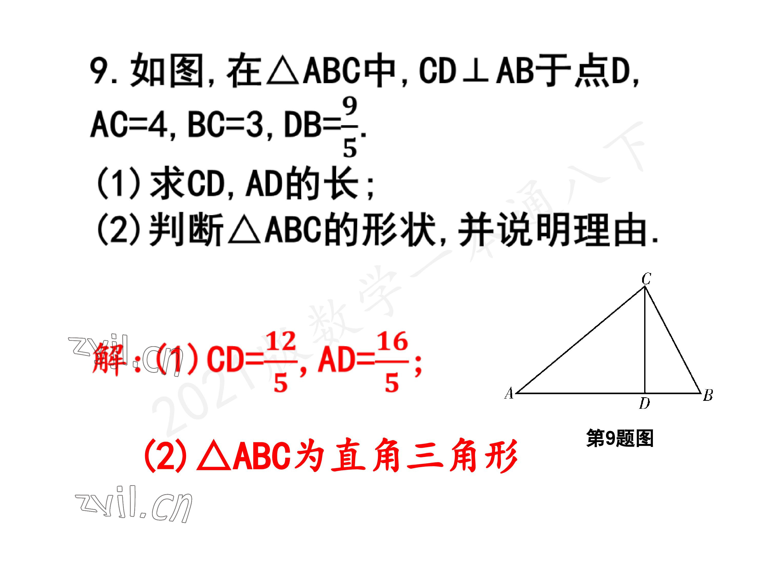 2023年一本通武汉出版社八年级数学下册北师大版 参考答案第104页