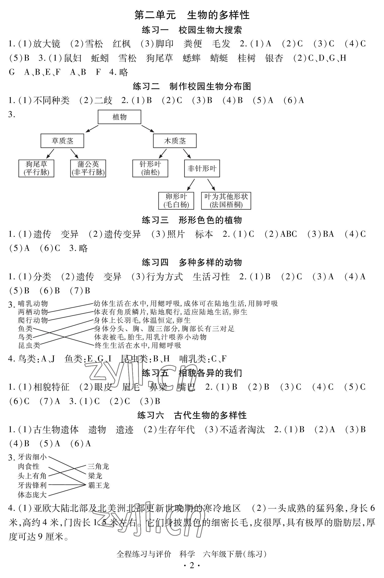 2023年全程练习与评价六年级科学下册教科版 参考答案第2页
