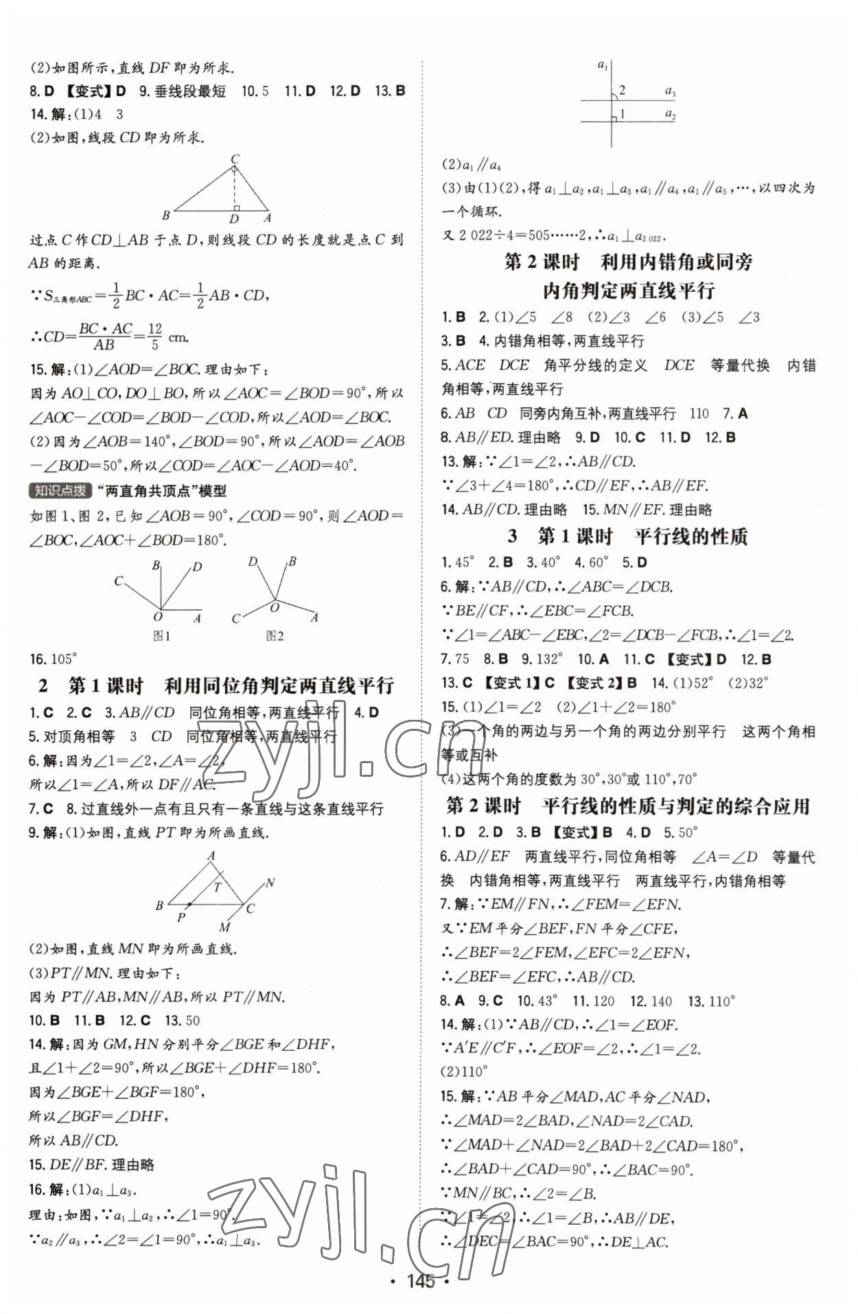 2023年一本同步訓(xùn)練七年級初中數(shù)學(xué)下冊北師大版 第3頁