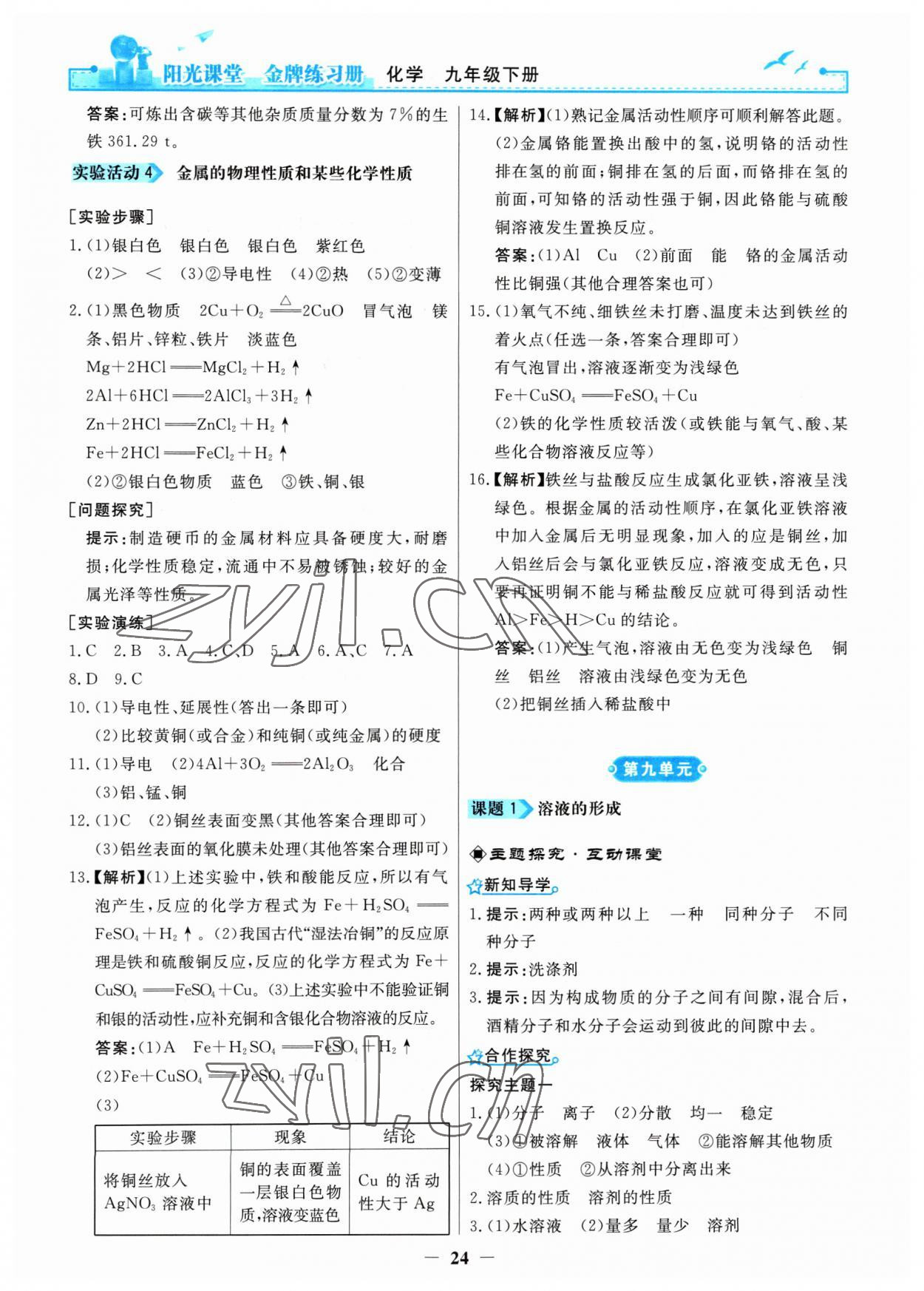 2023年陽光課堂金牌練習(xí)冊九年級化學(xué)下冊人教版 第4頁