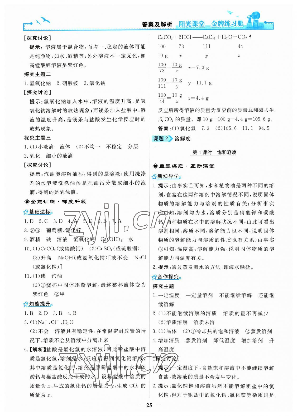 2023年陽光課堂金牌練習(xí)冊九年級化學(xué)下冊人教版 第5頁