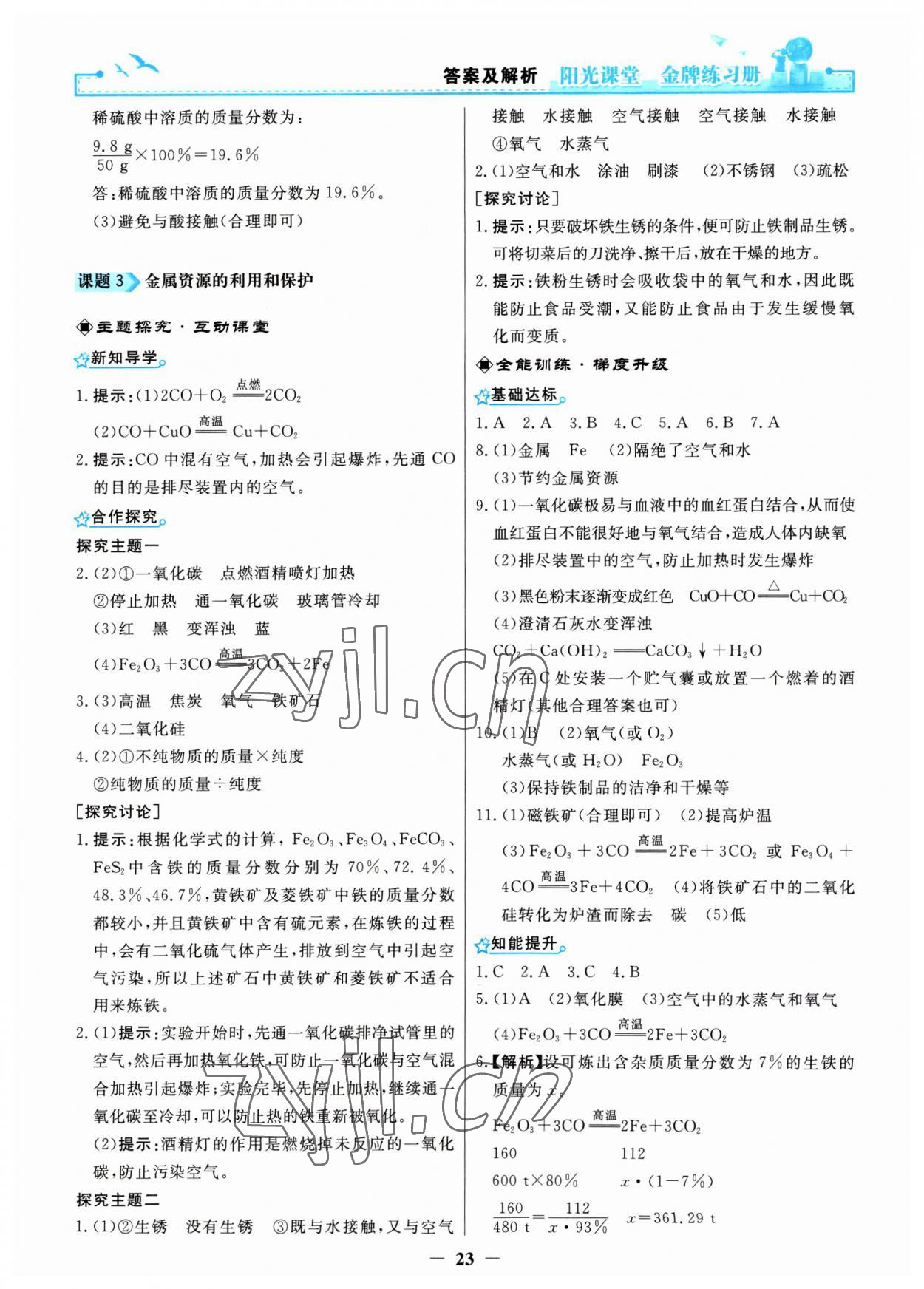 2023年陽(yáng)光課堂金牌練習(xí)冊(cè)九年級(jí)化學(xué)下冊(cè)人教版 第3頁(yè)