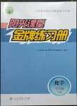 2023年陽(yáng)光課堂金牌練習(xí)冊(cè)九年級(jí)化學(xué)下冊(cè)人教版