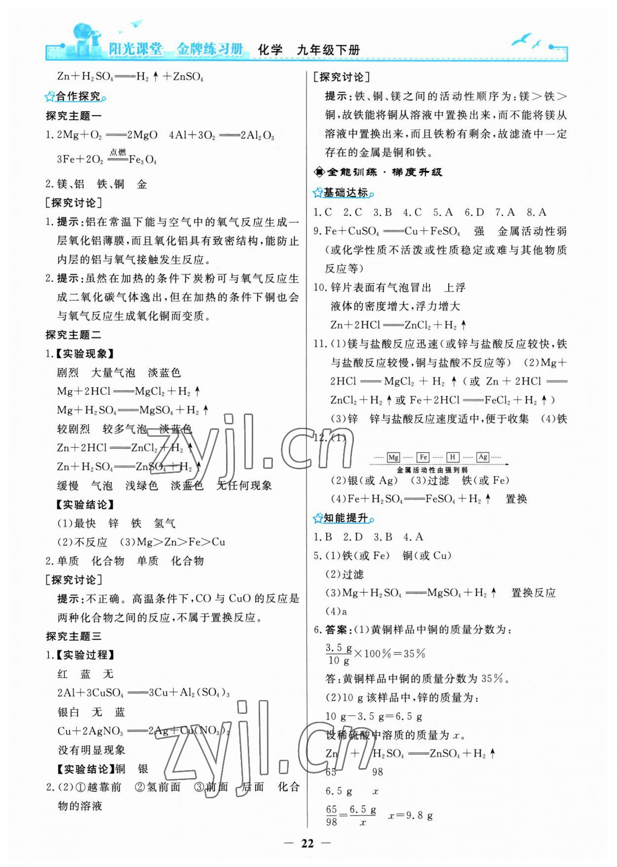 2023年陽光課堂金牌練習冊九年級化學(xué)下冊人教版 第2頁